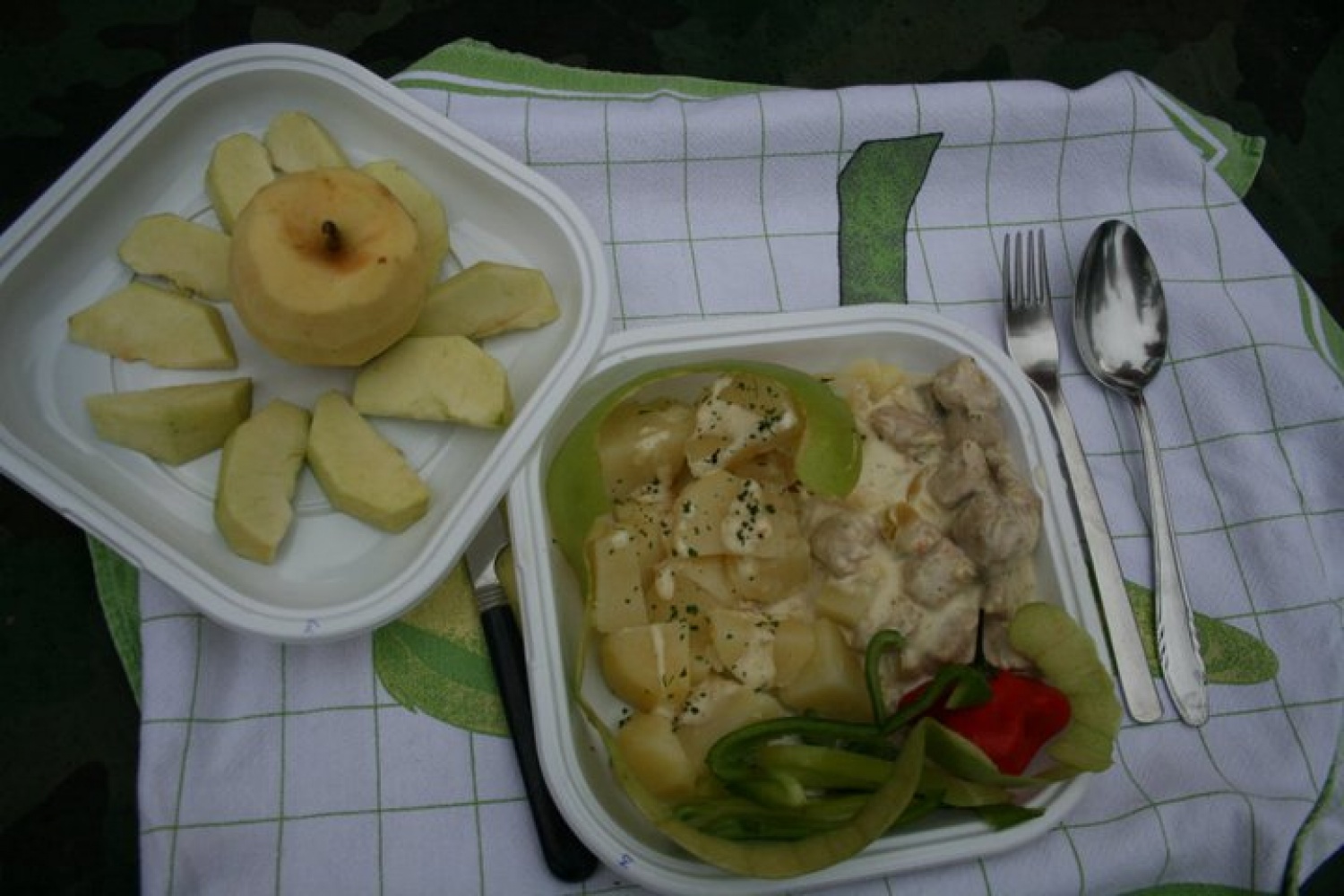 ...in začeli smo jesti kulinarične specialitete na prvem tekmovanju v skavtskem kuhanju. 
V Dečnem selu pri Brežicah se je tako 7.11.2010 odvijalo prvo tekmovanje v skavtskem kuhanju Bogžegni 2010, ki je skupni projekt sosednjih stegov Brežice 1, Krško 1 in Šentjernej 1. Ekipo so sestavljali štirje člani – klanovci in voditelji, tekmovanja pa so se udeležile ekipe iz Celja 1, Komende 1, Šentjerneja 1, Krškega 1 in Brežic 1.