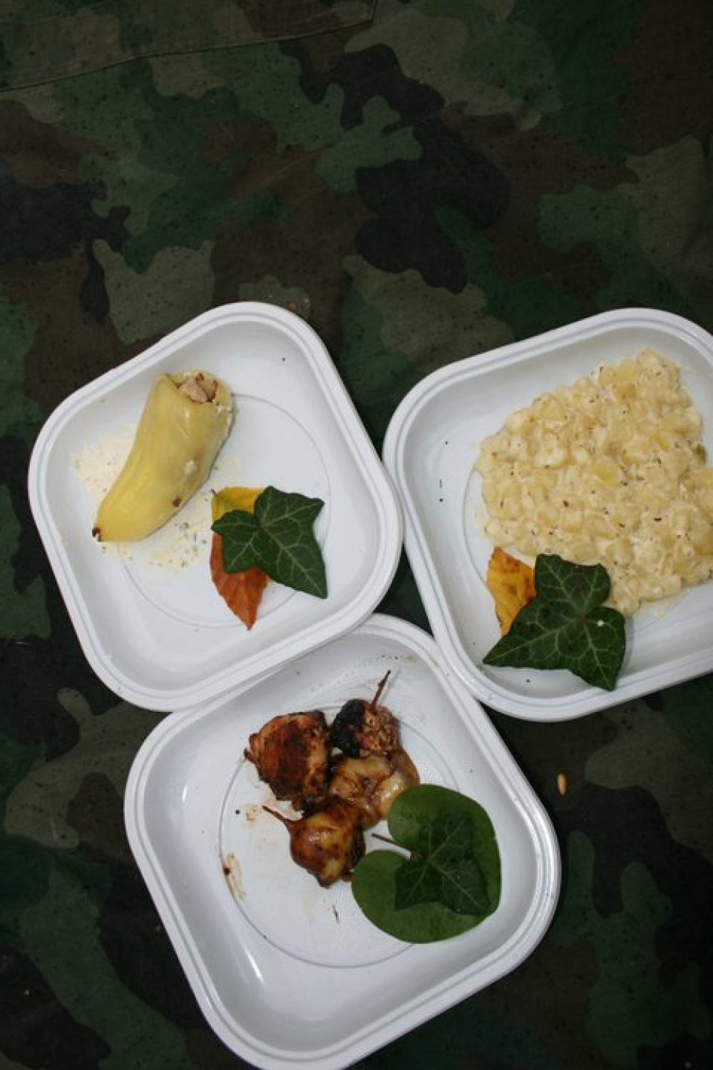 ...in začeli smo jesti kulinarične specialitete na prvem tekmovanju v skavtskem kuhanju. 
V Dečnem selu pri Brežicah se je tako 7.11.2010 odvijalo prvo tekmovanje v skavtskem kuhanju Bogžegni 2010, ki je skupni projekt sosednjih stegov Brežice 1, Krško 1 in Šentjernej 1. Ekipo so sestavljali štirje člani – klanovci in voditelji, tekmovanja pa so se udeležile ekipe iz Celja 1, Komende 1, Šentjerneja 1, Krškega 1 in Brežic 1.