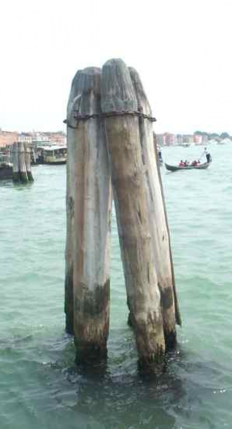 Zgodovina, sedanjost - morje je večno