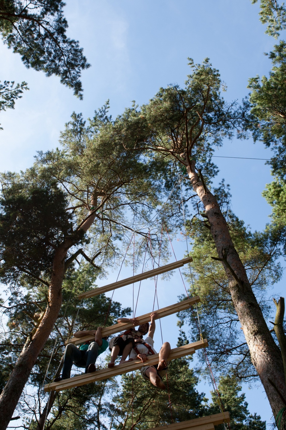 Lahko začnemo danes ... (foto, video)