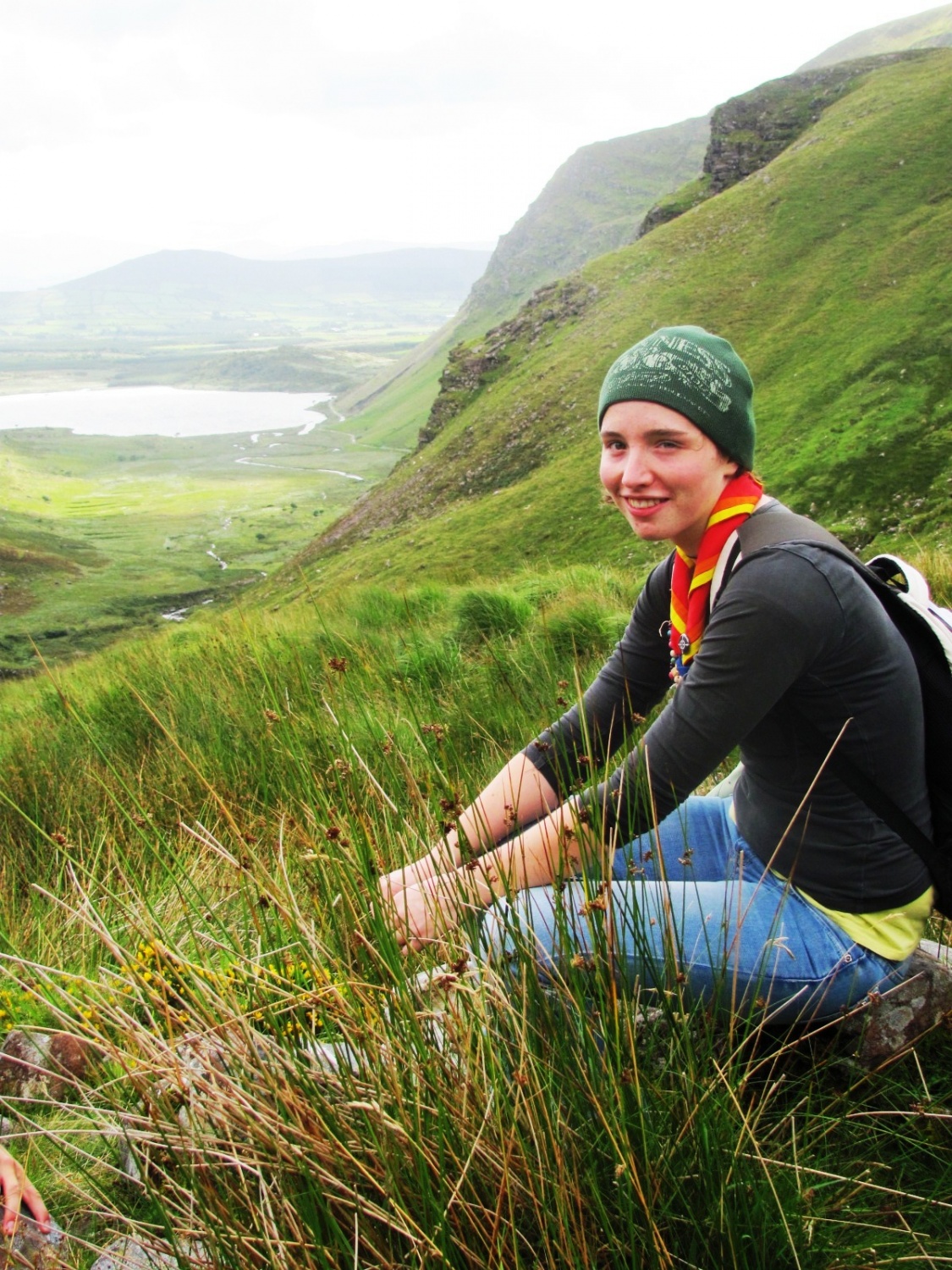 Zelene Irske poljane