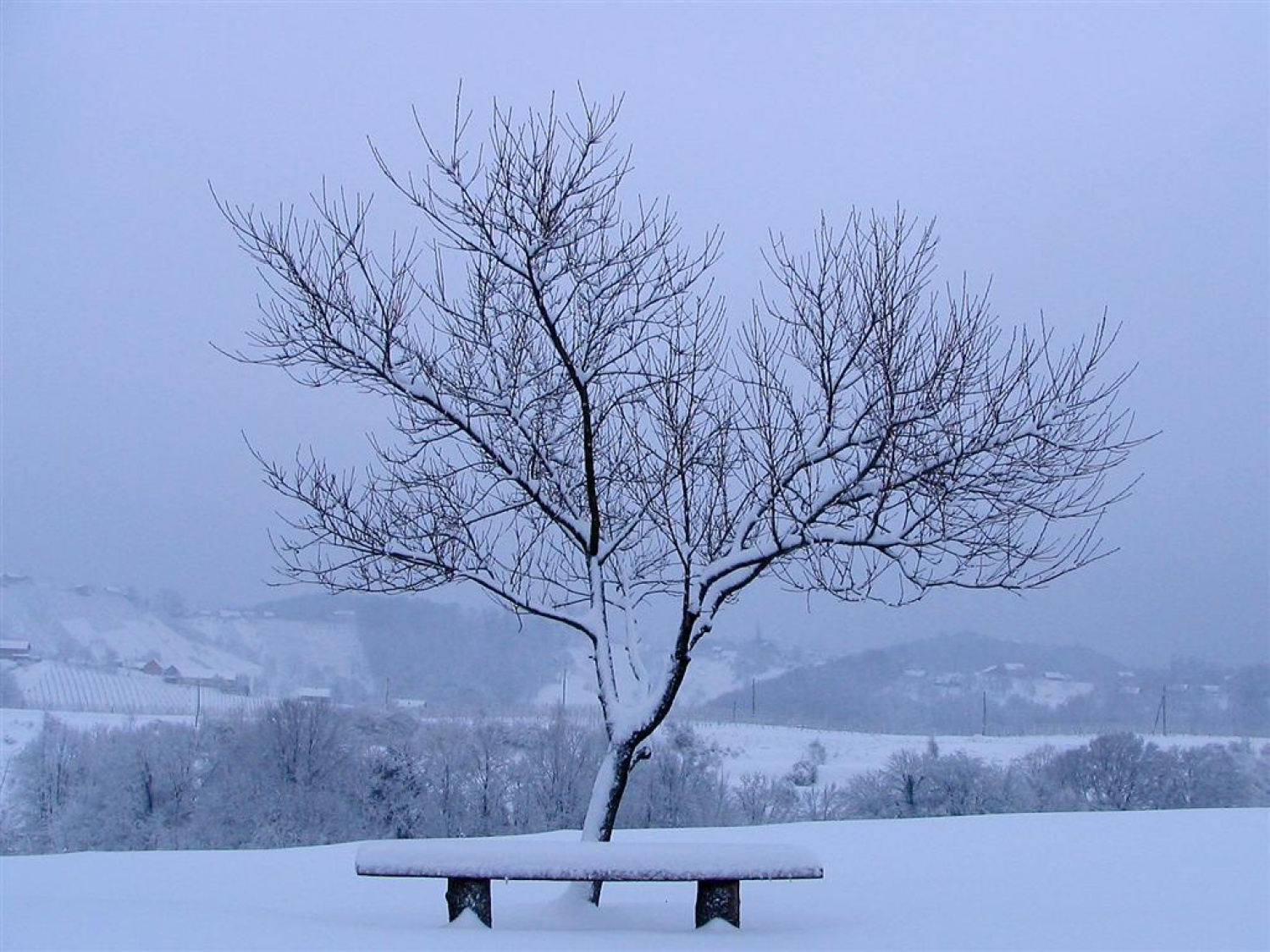 Zimska pravljica na našem taboru