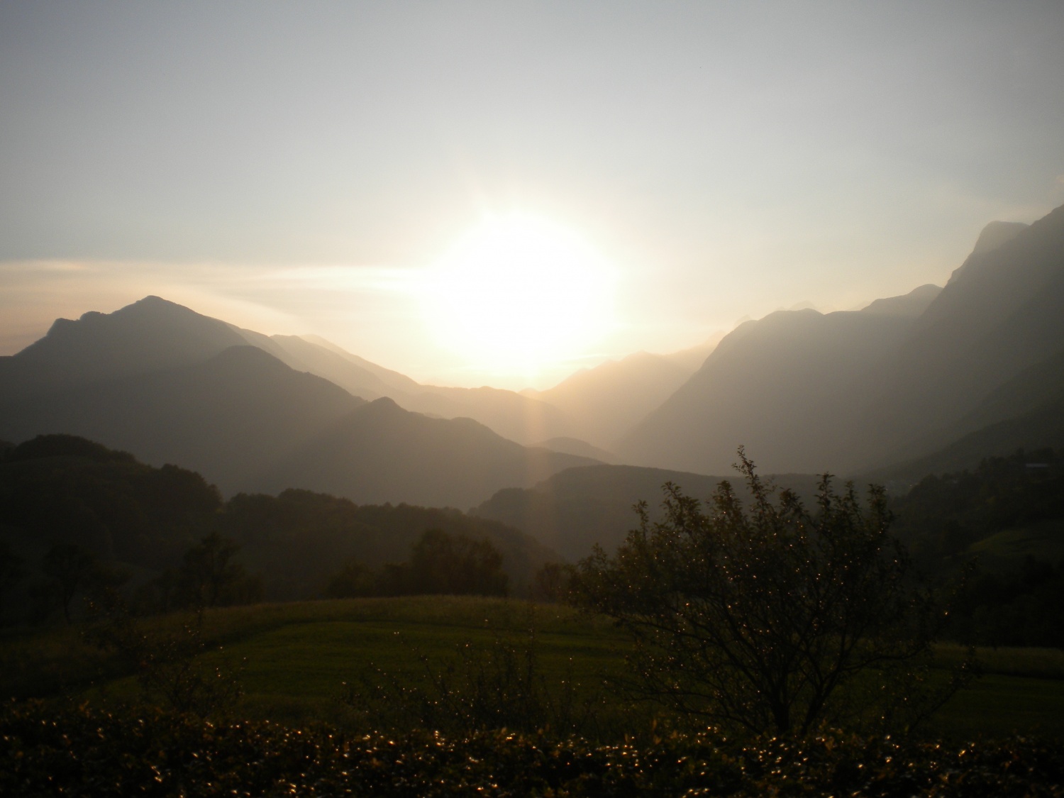 Kako so Leni jeleni letos preživeli zelo NE-len tabor :)