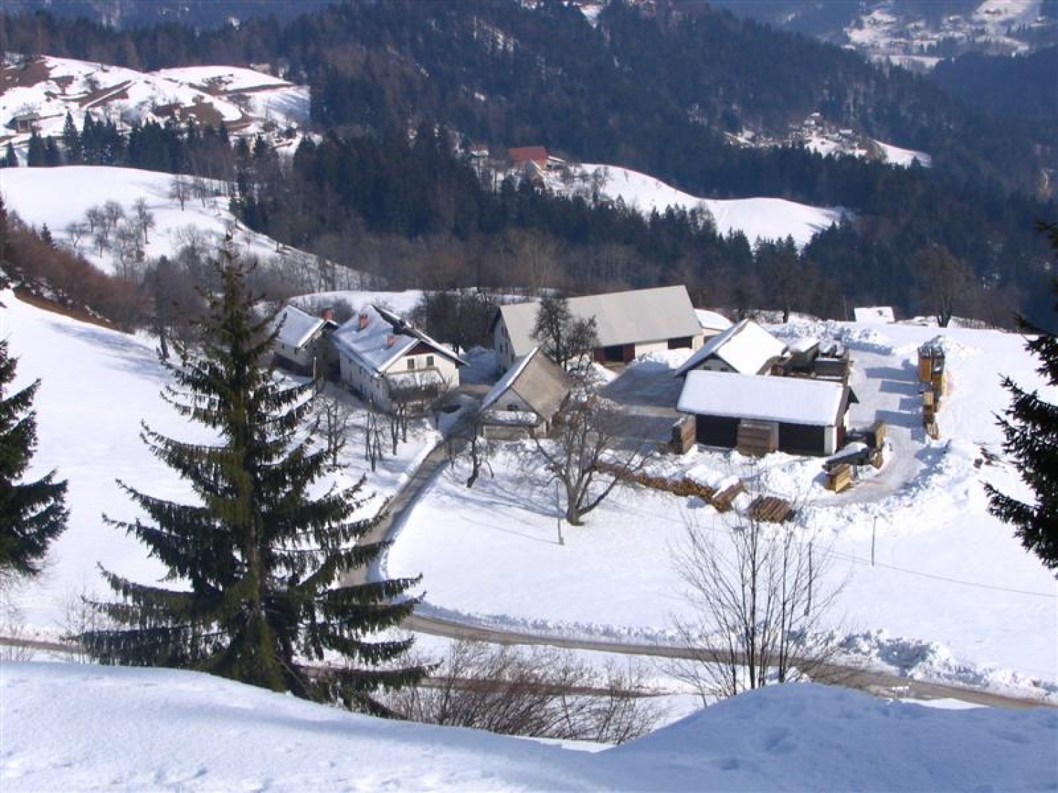 Vasica Rovt nad Selško dolino (700m n.m.v.) - začetek naše poti