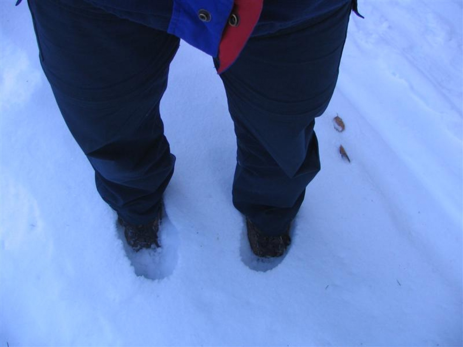 Ko se vdre (okoli 20 cm - 85 kg)