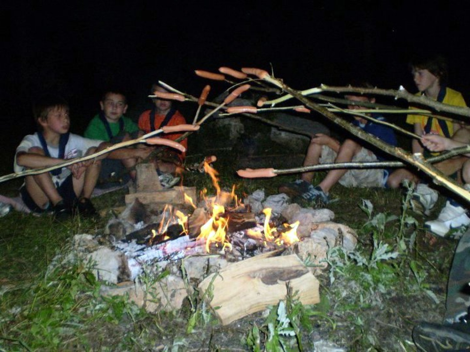 Pečenje hrenovk ob ognju