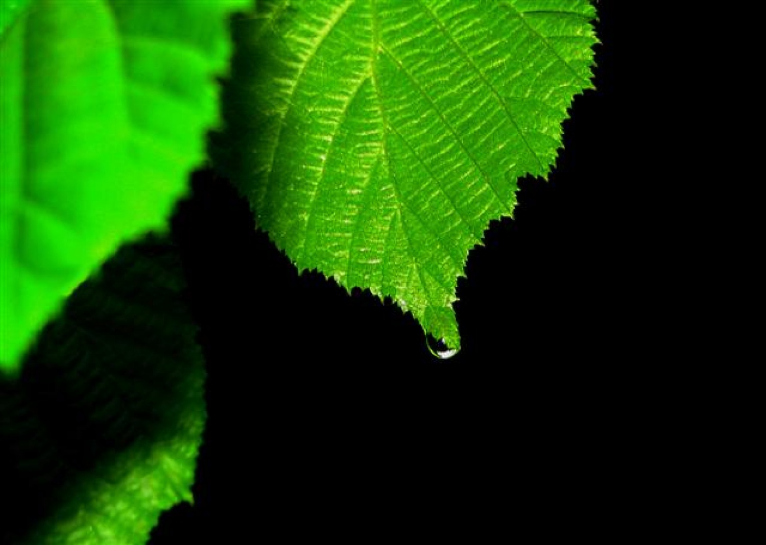 Voda, ki jo pijemo, kakšna je?