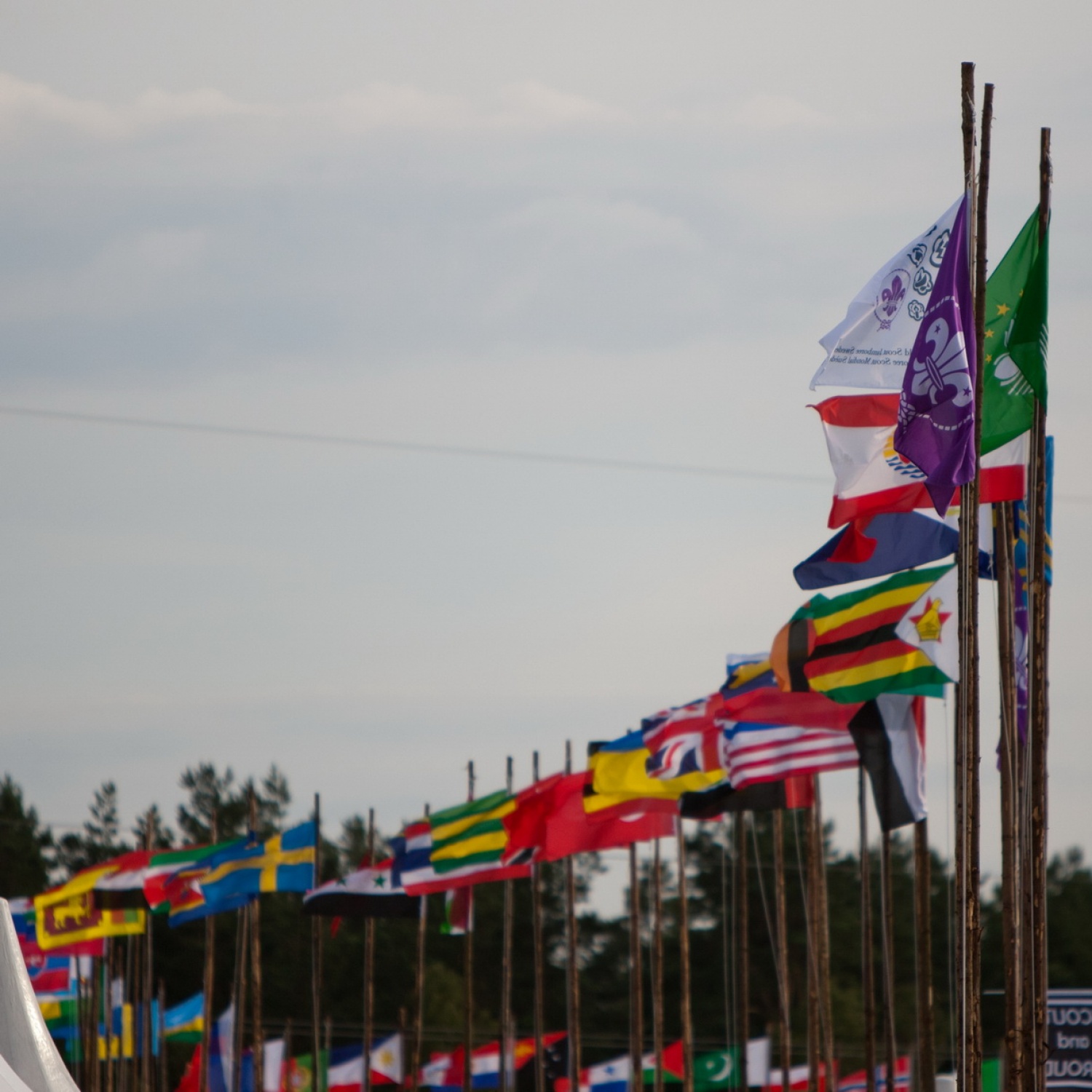 Glavna avenija z zastavami udelezencev