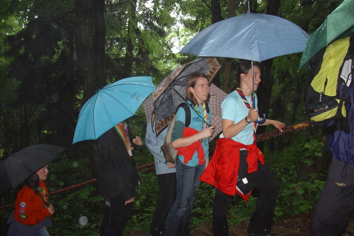 Dežnik najboljši človekov prijatelj