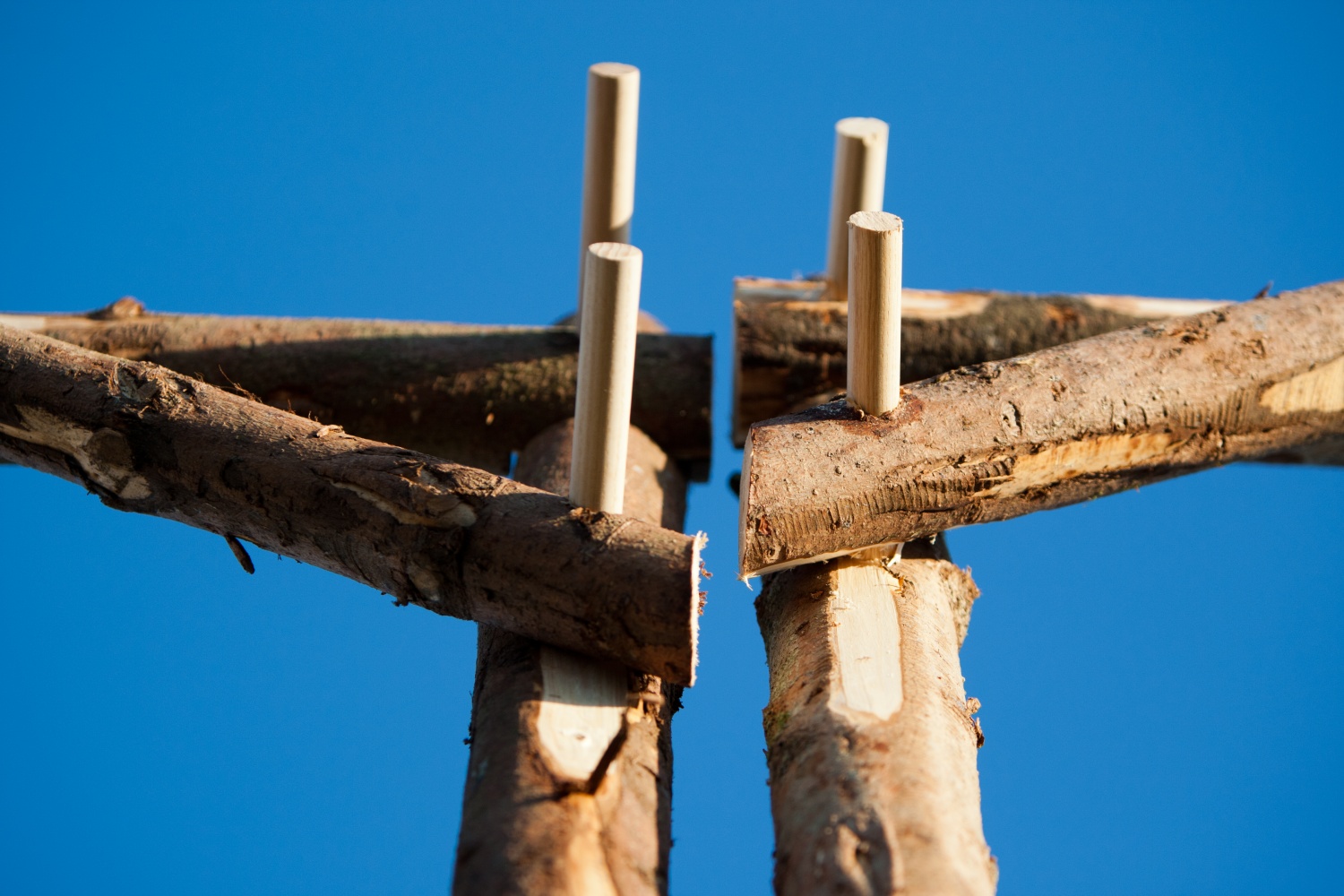 Na sprehodu po taboru