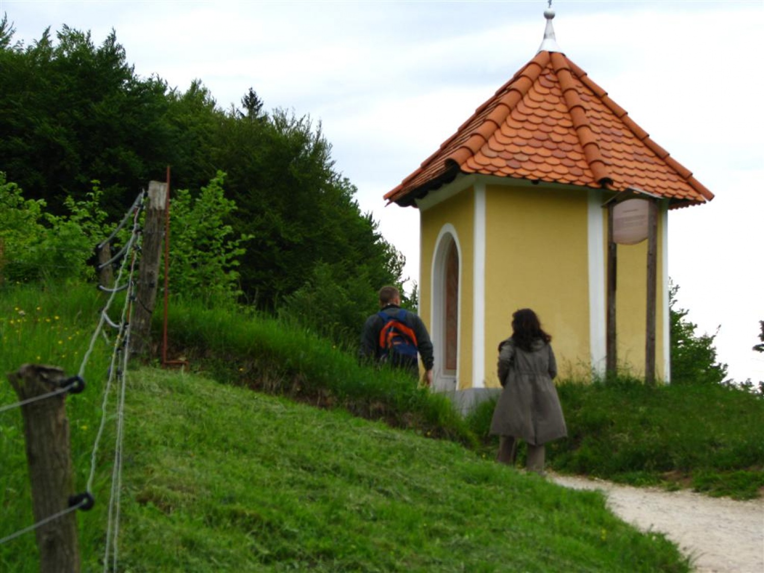 Tri bratovščine, dva vrhunska strokovnjaka ter četica odraslih in otrok. Vsi zaljubljeni v gozd smo spoznavali njegov pomen, njegove prebivalce, ga občutili in dojemali. Drugače. Hvala Tonetu Lesniku.