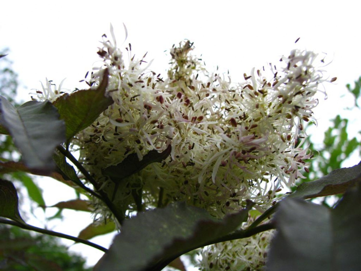 Tri bratovščine, dva vrhunska strokovnjaka ter četica odraslih in otrok. Vsi zaljubljeni v gozd smo spoznavali njegov pomen, njegove prebivalce, ga občutili in dojemali. Drugače. Hvala Tonetu Lesniku.