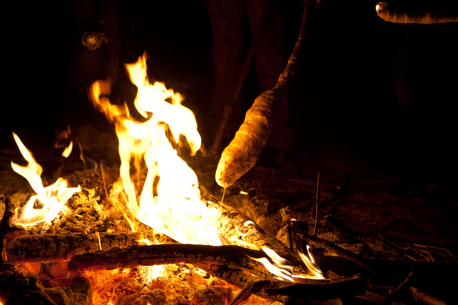 Bil je 7. maj 2011, ko se je steg Homških sončkov zbral, da bi odšel na jurjevanje. Naš dan se je začel z igro in molitvijo. Prišlo je dolgo vozilo z veliko sedeži in štirimi kolesi. Nanj smo dali svojo prtljago in sebe. In odpeljali smo se v Kočevski rog.