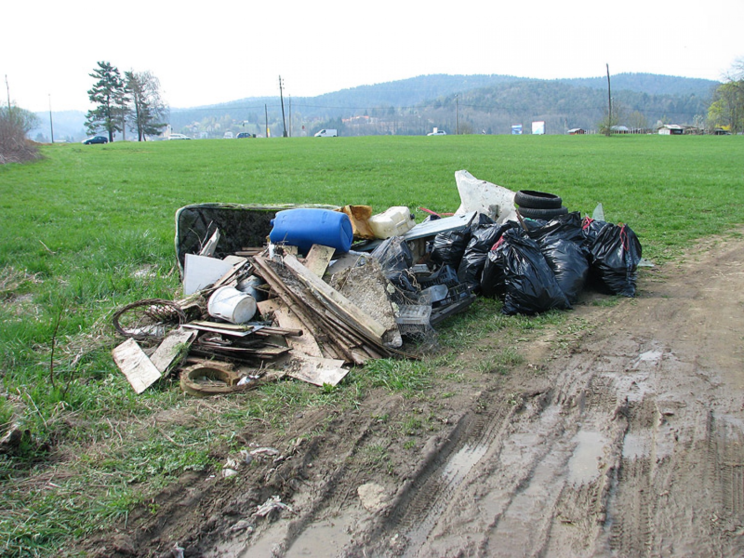 Ljubljana 5 je za akcijo Očistimo Slovenijo prevzela koordinacijo zbirnega mesta pri gradu Fužine. Glede na pogovore z organizatorji se nam je obetal nor dan z velikim številom prostovoljcem. In res je bil!