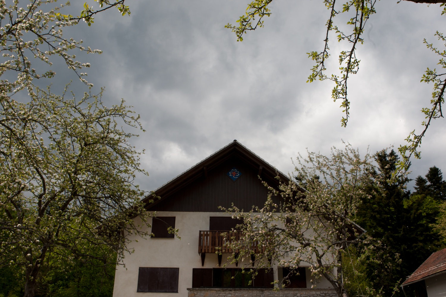 Bil je 7. maj 2011, ko se je steg Homških sončkov zbral, da bi odšel na jurjevanje. Naš dan se je začel z igro in molitvijo. Prišlo je dolgo vozilo z veliko sedeži in štirimi kolesi. Nanj smo dali svojo prtljago in sebe. In odpeljali smo se v Kočevski rog.