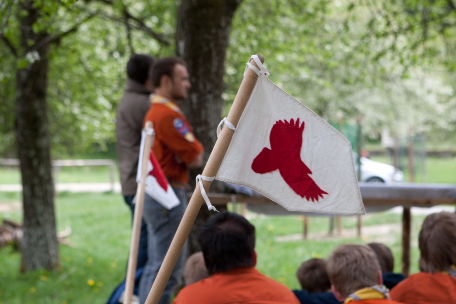 Bil je 7. maj 2011, ko se je steg Homških sončkov zbral, da bi odšel na jurjevanje. Naš dan se je začel z igro in molitvijo. Prišlo je dolgo vozilo z veliko sedeži in štirimi kolesi. Nanj smo dali svojo prtljago in sebe. In odpeljali smo se v Kočevski rog.