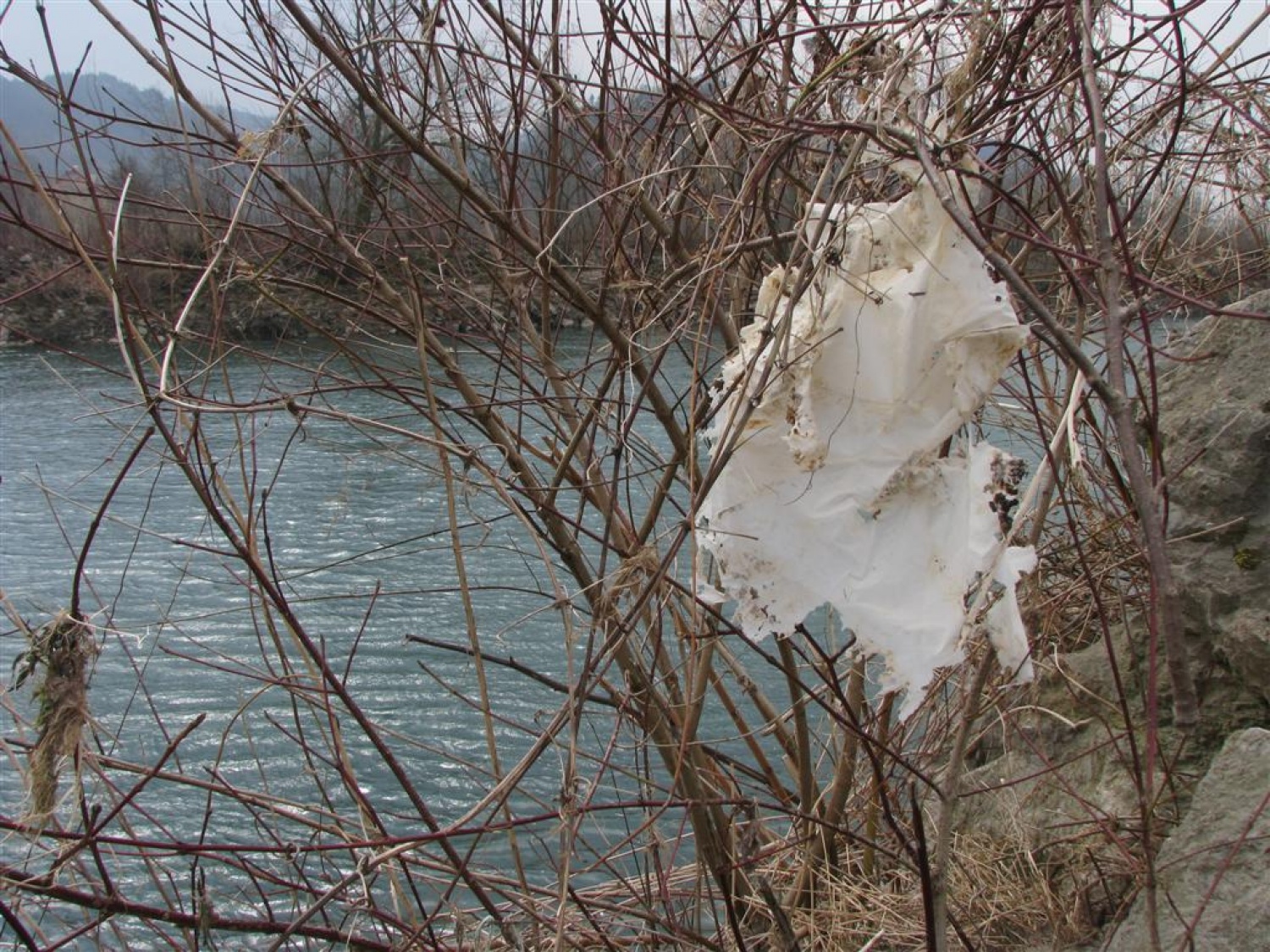 Zastave na obrežju reke