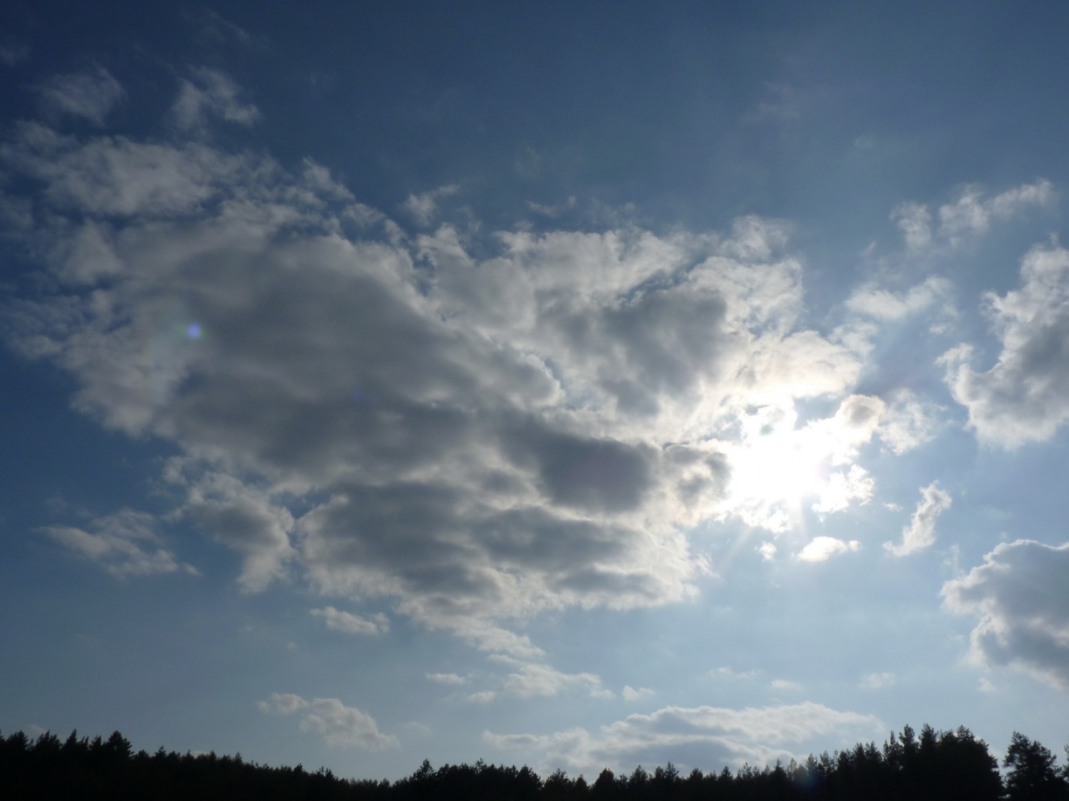 V vikendu od 25. - 27. 3. 2011 je v Trnjah pri Pivki potekalo prvo skavtsko izobraževanje za bogoslovce. Udeležilo se ga je 19 bogoslovcev iz ljubljanskega semenišča.

Pobuda za to izobraževanje je prišla iz poverjeništva za duhovnost z namenom, da bi bodoči duhovniki spoznali naše skavtsko gibanje in se tako lažje vključili v skavtsko življenje v župnijah, kjer bodo delovali.

V teh dneh smo poskušali čim bolje predstaviti skavtstvo, kot vzgojno sredstvo in način življenja. Govorili smo tudi o tem, da smo kot združenje, katoliški skavti in kako katolištvo vključujemo v našo vzgojo mladih. Pripravili smo temo o duhovnosti v skavtstvu in skavtski katehezi, preko zgodbe o Frančišku, vitezovanja in skavtskih maš pa so naš način duhovnosti doživeli tudi v praksi. Nekaj časa smo namenili še spoznavanju celotne skavtske strukture, skavtski metodi in delovanja naših stegov, manjkale pa niso tudi prave skavtske aktivnosti - kuhanje večerje na švedski bakli, bansi in igre, izdelovanje zastavic, dvig zastav, potep ...

Med vikendom smo uspeli ustvariti pravo skavtsko vzdušje in tako zopet dokazali, da skavtski duh lahko zaživi povsod in v nas vseh. Upamo, da bo tudi ta vikend prispeval k še boljšemu sodelovanju med duhovniki in skavti ter da bo čim več bogoslovcev zbralo pogum za vlogo DA-jev v naših stegih.

Kaj vse se je dogajalo pa naj povedo slike.