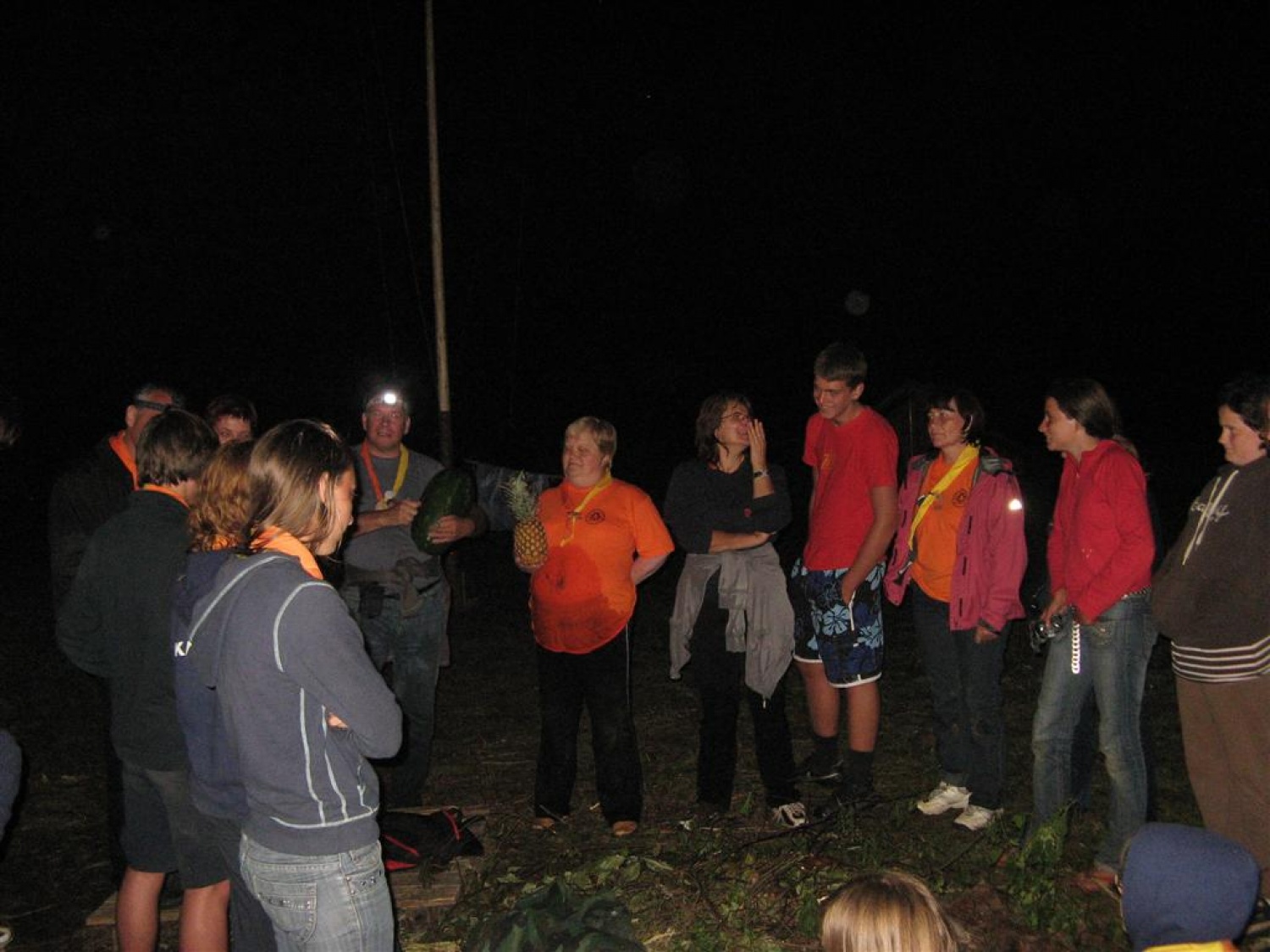 Kar nekaj članov BOKSS Grosuplje ima svoje otroke med mladimi skavti. Ko smo prišli na dan odprtih vrat naše čete v Sajevec pri Ribnici, smo že imeli v glavi peklenski načrt za krajo zastavo. Rečeno storjeno.  

Dogovorili smo se za sredo in se dobili pri Marini ob desetih zvečer. Popili smo še vsak svojo kavico, da nas ne bi spanec preveč zdelal in izdelali načrt.