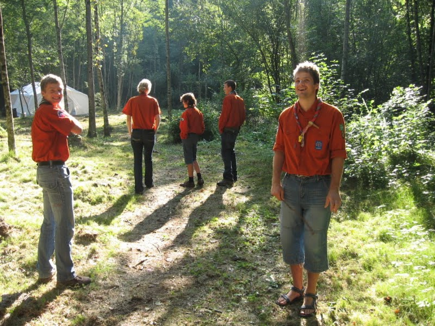 Oranžno obarvan gozd