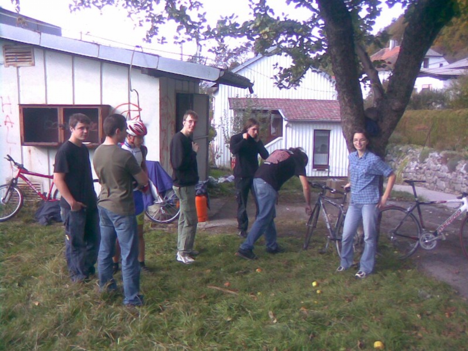Bilo je toplo zadnje oktobrsko, torkovo dopoldansko jutro, ko sem prihajala v domačo Postojno. Na vlaku sem se slišala še z nekaterimi sovoditelji, ki so mi obljubili nekaj pridnih rok svojih žanjcev za žetev (v razumevanju ekspresivnega pomena v SSKJ govorim o »žetvi pohval«; res, naši veliki otroci so (STE, če to berete!) zelo pridni, vidijo delo in se ga lotijo brez nerganja; brez pretiravanja: zlati so, poglejte jih na spodnjih slikah!). Torej, za žetev na našem rodovitnem skavtskem travniku na Jamski cesti, kjer je bilo potrebno pospraviti »pridelan« star papir v kontejner Dinosa.