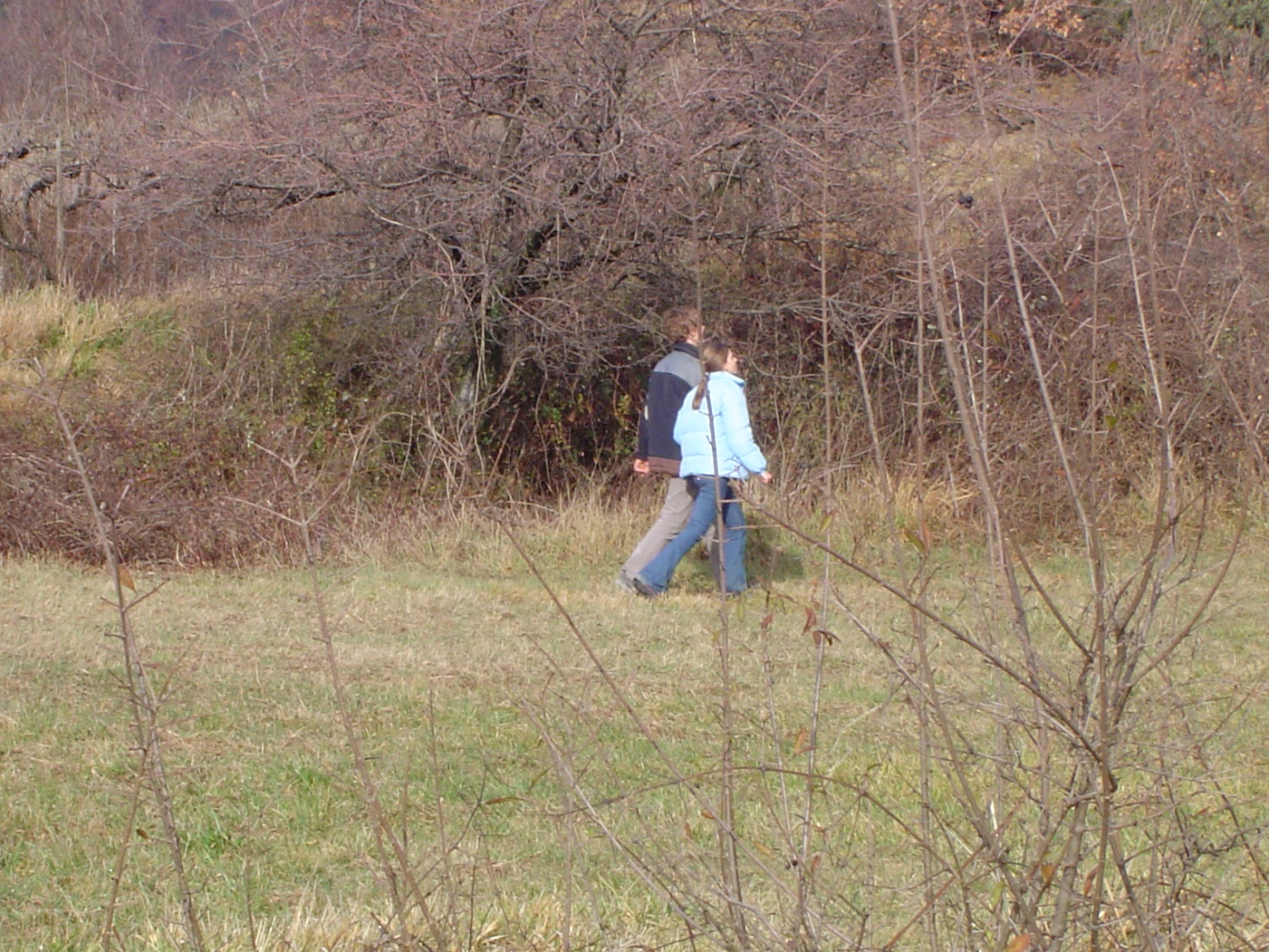 raziskovanje okolice