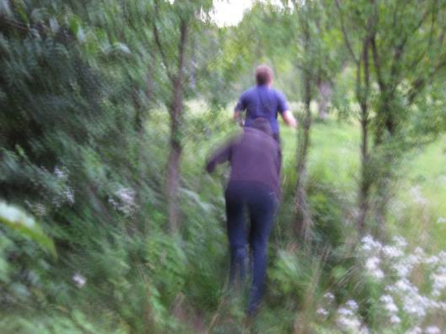 Stric Denny je že star mož pri skavtih, ki počasi že razmišlja o umiku. In kot vsak starček, se tudi on rad pohvali s skavtskimi dogodivščinami v mlajših letih. Prišlo je leto, ko je rekel, da bo zadnje leto deloval v veji PP (tako je vsaj mislil), potem pa se umaknil in stvar prepustil mladim voditeljem. To leto je imel za sovoditelja nadobudnega in ambicioznega skavta - recimo da mu je ime Jaka. Nekega dne sta se dobila pri Dennyu, jedla kremšnite in se pogovarjala. Pogovor je nanesel na krajo zastave in seveda, stric Denny je povedal zgodbo: