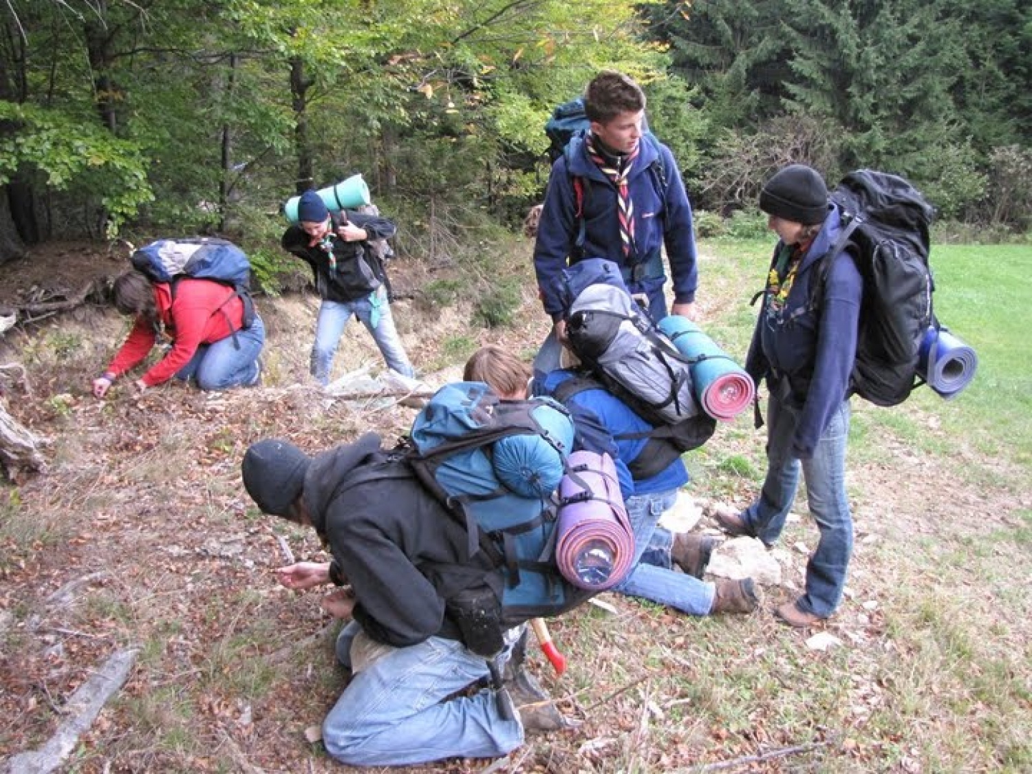 Nabiranje užitnih rastlin