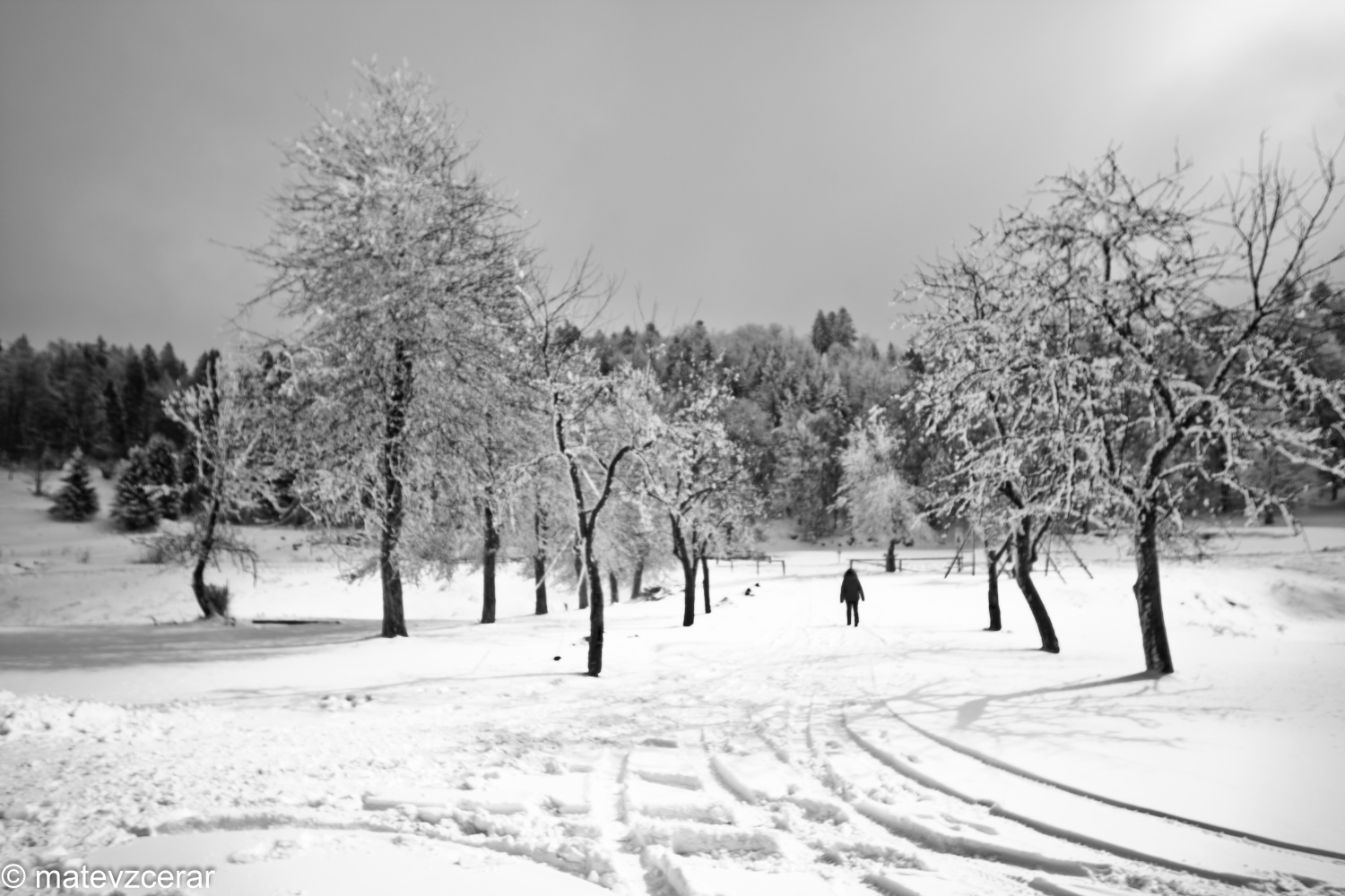 Voditelji ljubljanske regije smo se v preteklem vikendu zbrali na duhovnih vajah v Kočevskem rogu. Duhovni asistent Urban Lesjak je z zgodbami, nagovori, razlagami, izzivi in igrami vodil 15 skavtov prek pusta do posta.