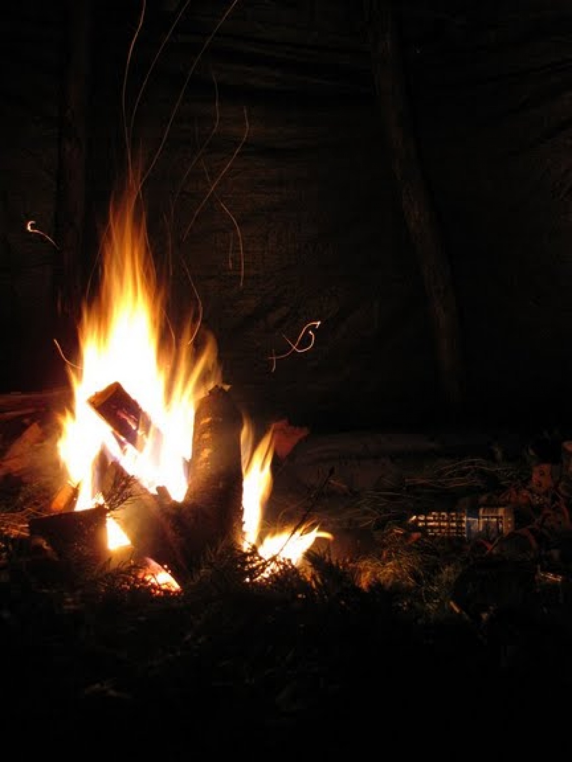 Vabilo na letošnji že 3. tradicionalni skavtski vikend preživetja v naravi – Prekaljene mačke se je glasil nekako tako: »Če te zanima, kako se skavti znajdemo v naravi z malo ali skoraj nič pripomočki, kako znamo v duhu 6. skavtskega zakona spoštljivo živeti z naravo, kako zmoremo jesti z jedilnika, ki nam ga ponuja narava, kako na prostem varno zakurimo ogenj, kako prespimo v gozdu,… oziroma bi rad v družbi prijateljev in čudovite narave ponovil in nadgradil vse te veščine, potem moraš priti!«