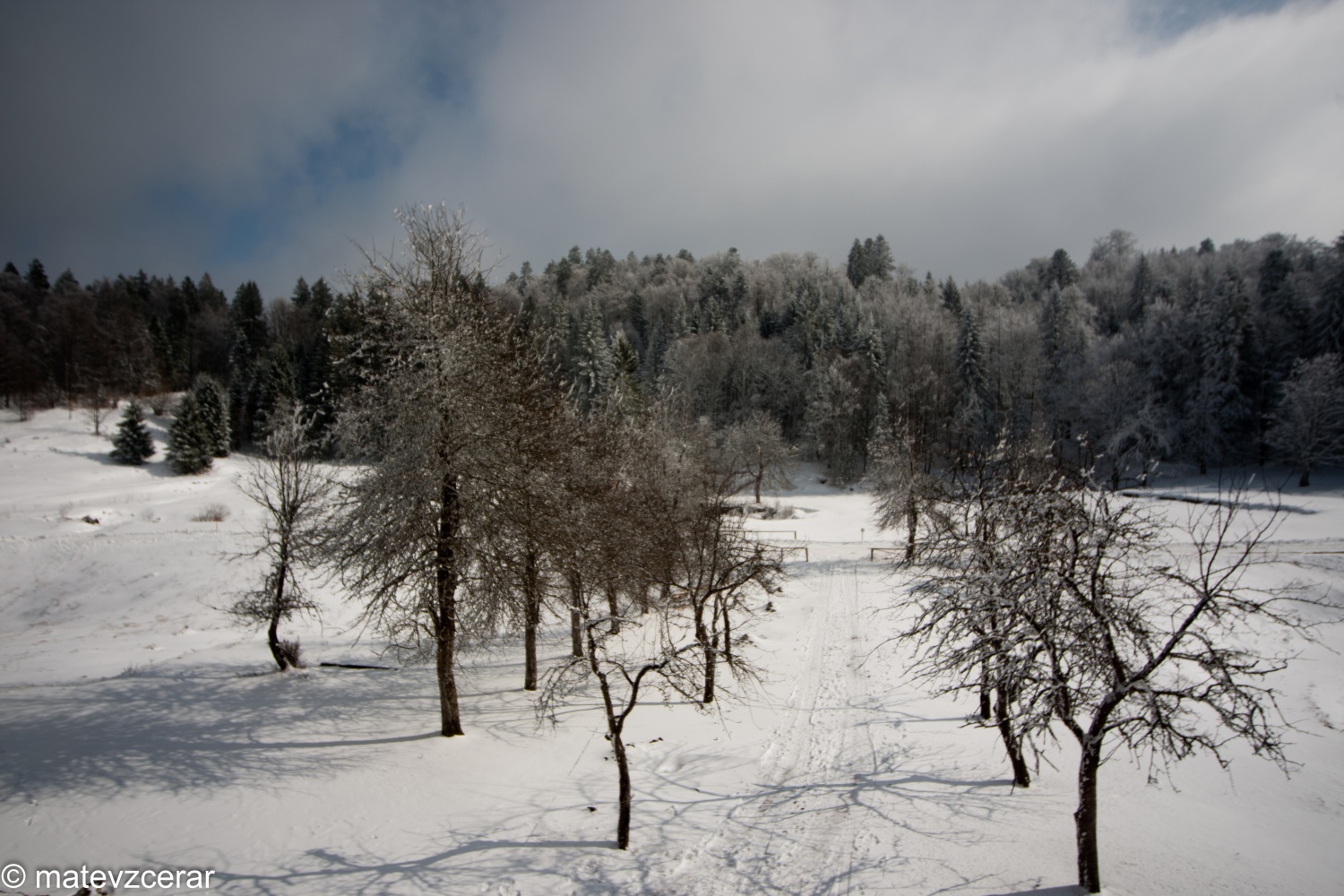 Voditelji ljubljanske regije smo se v preteklem vikendu zbrali na duhovnih vajah v Kočevskem rogu. Duhovni asistent Urban Lesjak je z zgodbami, nagovori, razlagami, izzivi in igrami vodil 15 skavtov prek pusta do posta.