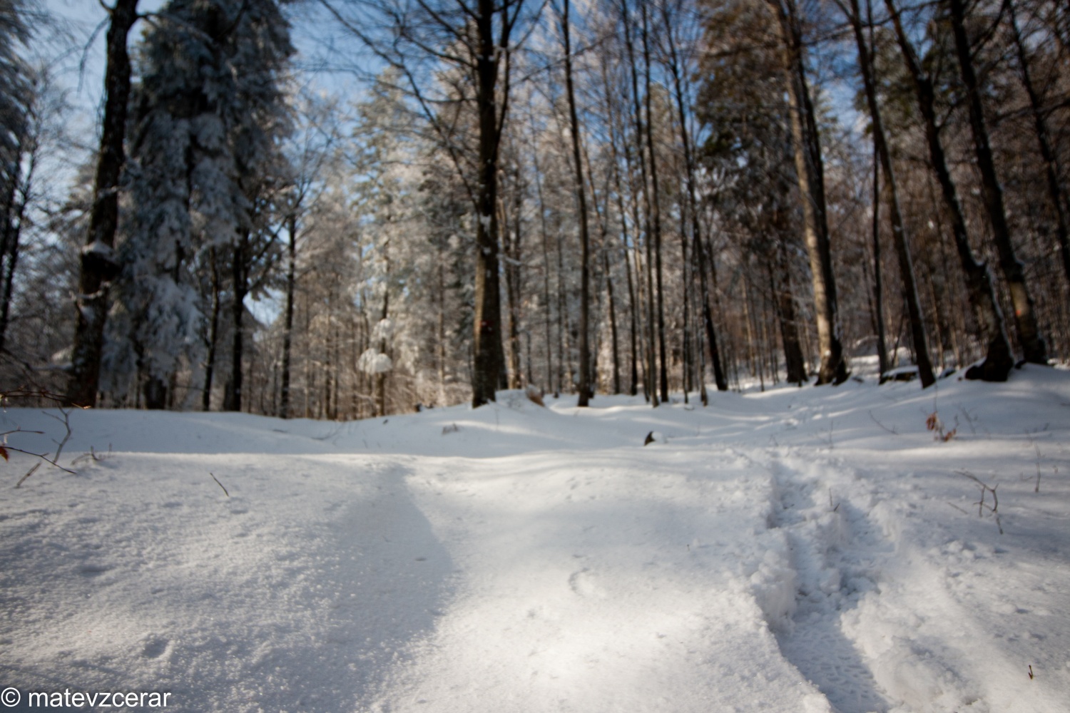 Voditelji ljubljanske regije smo se v preteklem vikendu zbrali na duhovnih vajah v Kočevskem rogu. Duhovni asistent Urban Lesjak je z zgodbami, nagovori, razlagami, izzivi in igrami vodil 15 skavtov prek pusta do posta.