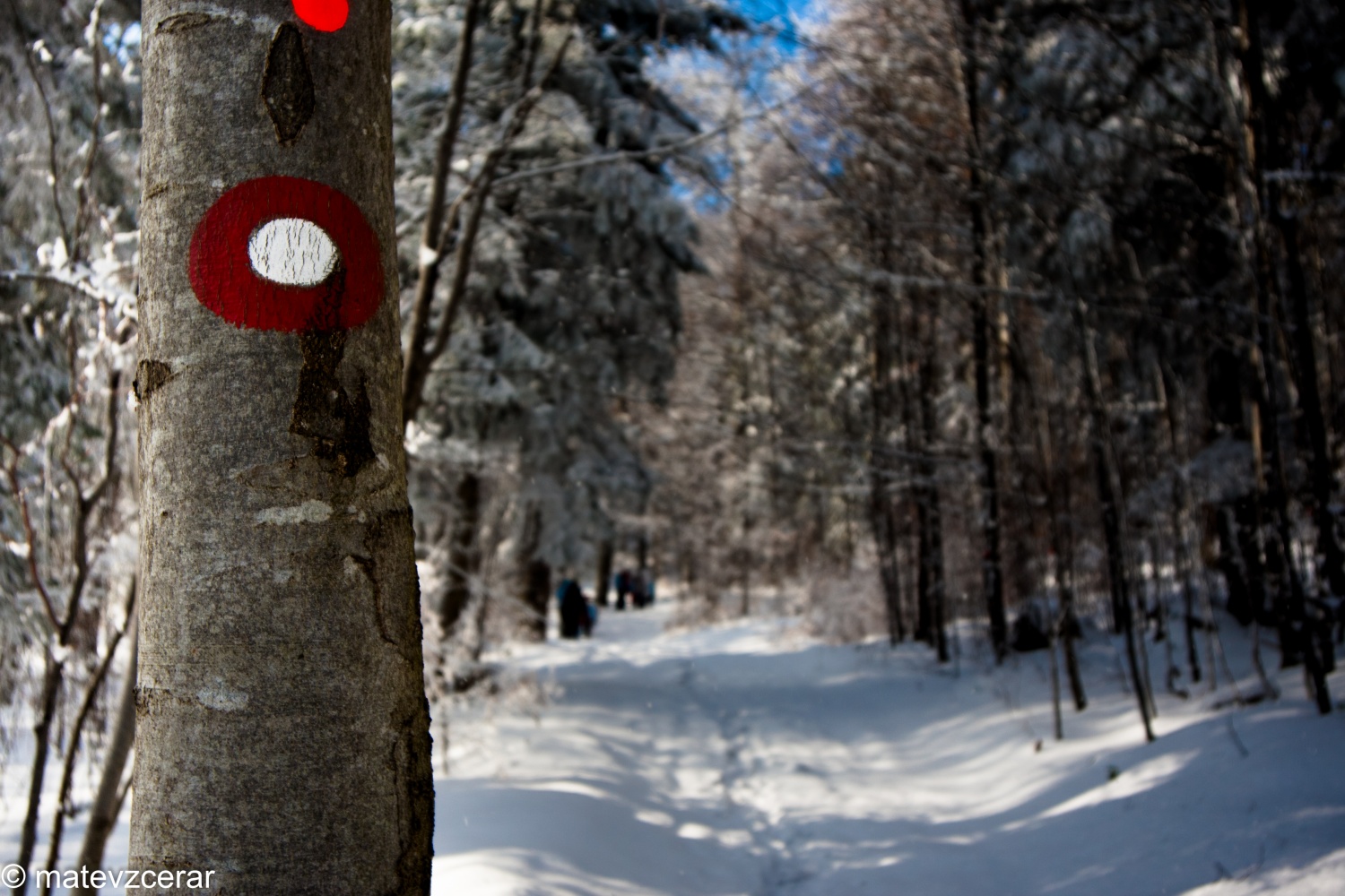Voditelji ljubljanske regije smo se v preteklem vikendu zbrali na duhovnih vajah v Kočevskem rogu. Duhovni asistent Urban Lesjak je z zgodbami, nagovori, razlagami, izzivi in igrami vodil 15 skavtov prek pusta do posta.
