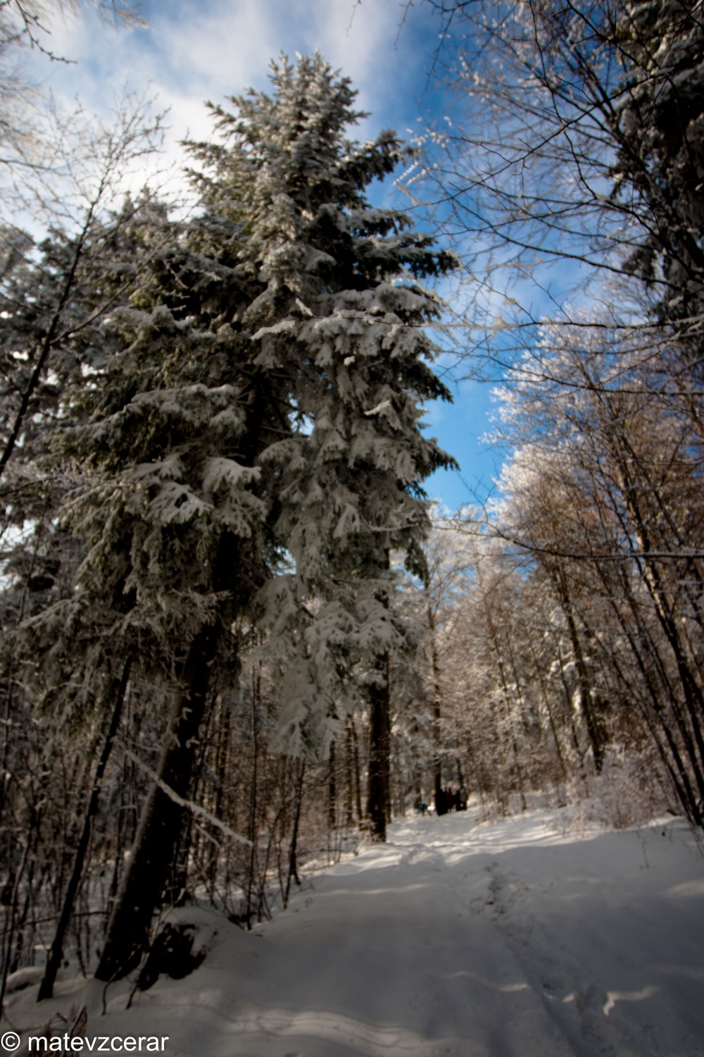 Voditelji ljubljanske regije smo se v preteklem vikendu zbrali na duhovnih vajah v Kočevskem rogu. Duhovni asistent Urban Lesjak je z zgodbami, nagovori, razlagami, izzivi in igrami vodil 15 skavtov prek pusta do posta.