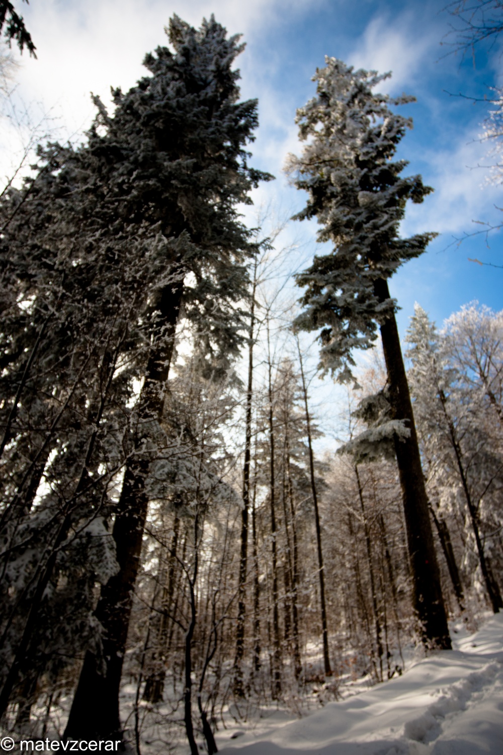 Voditelji ljubljanske regije smo se v preteklem vikendu zbrali na duhovnih vajah v Kočevskem rogu. Duhovni asistent Urban Lesjak je z zgodbami, nagovori, razlagami, izzivi in igrami vodil 15 skavtov prek pusta do posta.
