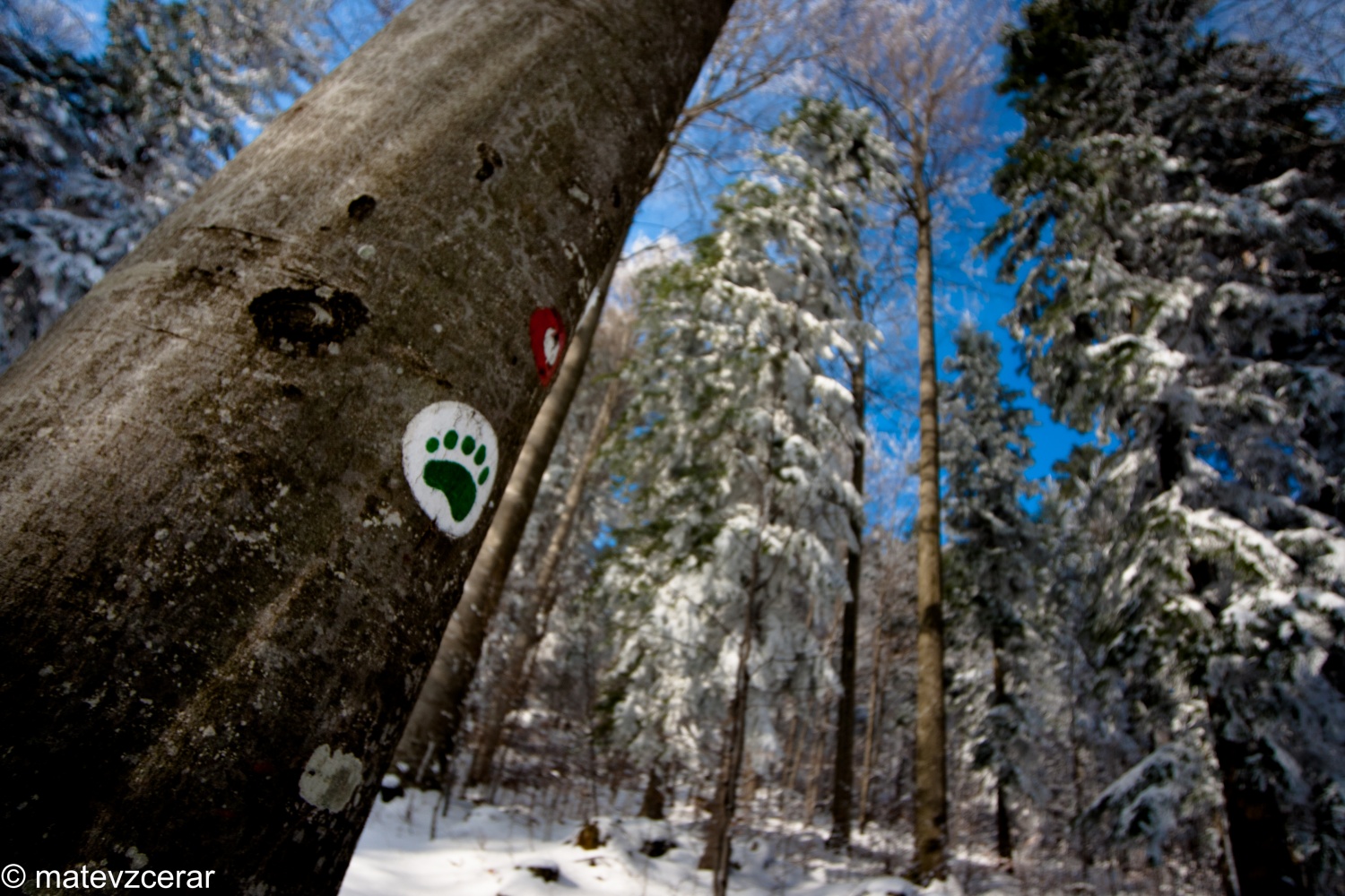 Voditelji ljubljanske regije smo se v preteklem vikendu zbrali na duhovnih vajah v Kočevskem rogu. Duhovni asistent Urban Lesjak je z zgodbami, nagovori, razlagami, izzivi in igrami vodil 15 skavtov prek pusta do posta.