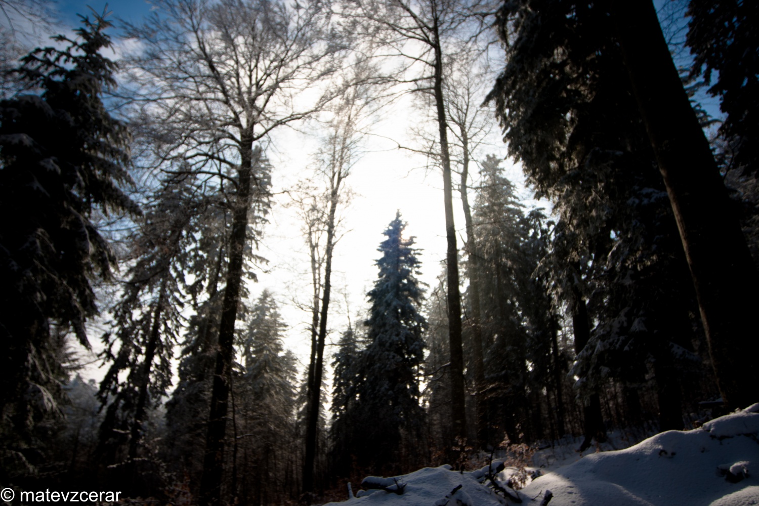 Voditelji ljubljanske regije smo se v preteklem vikendu zbrali na duhovnih vajah v Kočevskem rogu. Duhovni asistent Urban Lesjak je z zgodbami, nagovori, razlagami, izzivi in igrami vodil 15 skavtov prek pusta do posta.