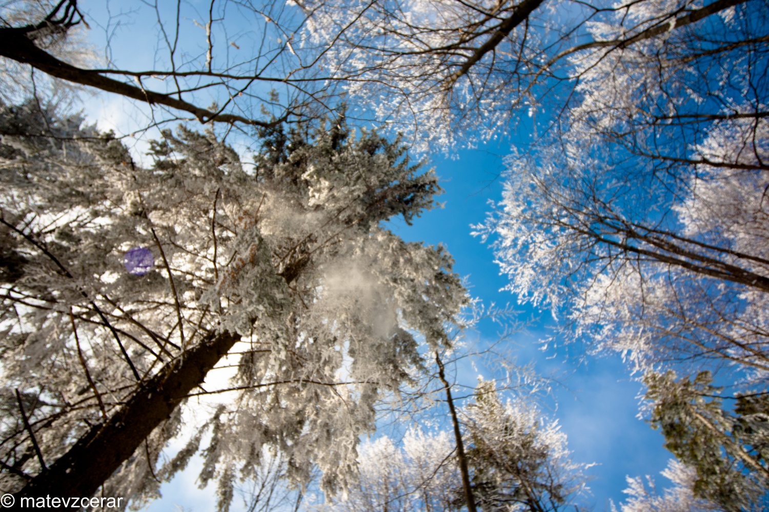 Voditelji ljubljanske regije smo se v preteklem vikendu zbrali na duhovnih vajah v Kočevskem rogu. Duhovni asistent Urban Lesjak je z zgodbami, nagovori, razlagami, izzivi in igrami vodil 15 skavtov prek pusta do posta.