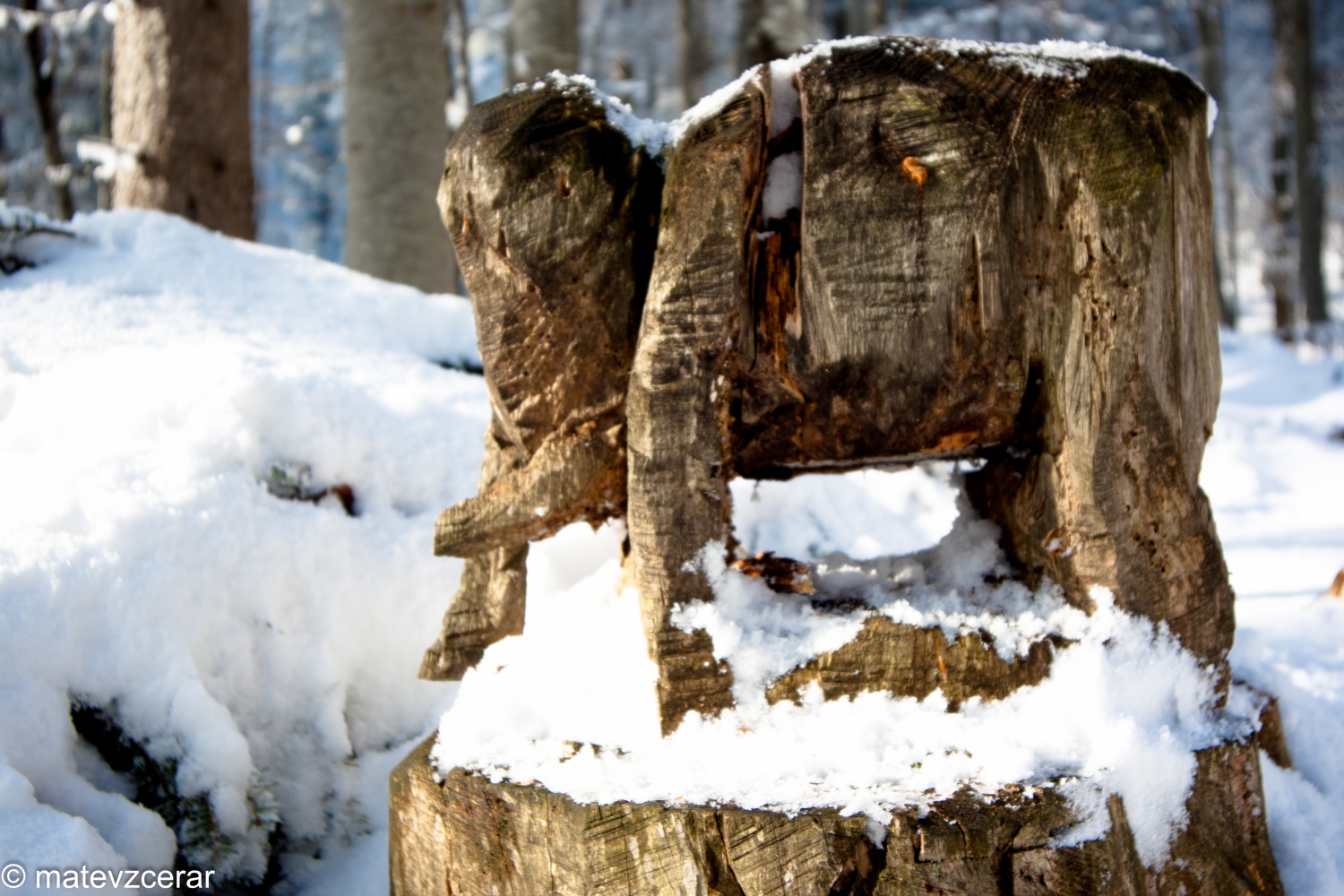 Voditelji ljubljanske regije smo se v preteklem vikendu zbrali na duhovnih vajah v Kočevskem rogu. Duhovni asistent Urban Lesjak je z zgodbami, nagovori, razlagami, izzivi in igrami vodil 15 skavtov prek pusta do posta.