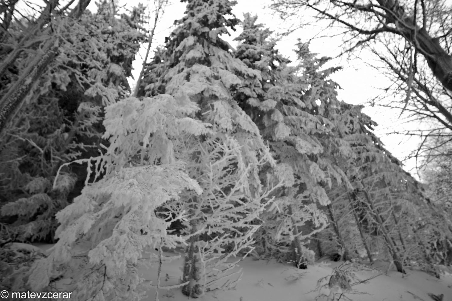 Voditelji ljubljanske regije smo se v preteklem vikendu zbrali na duhovnih vajah v Kočevskem rogu. Duhovni asistent Urban Lesjak je z zgodbami, nagovori, razlagami, izzivi in igrami vodil 15 skavtov prek pusta do posta.