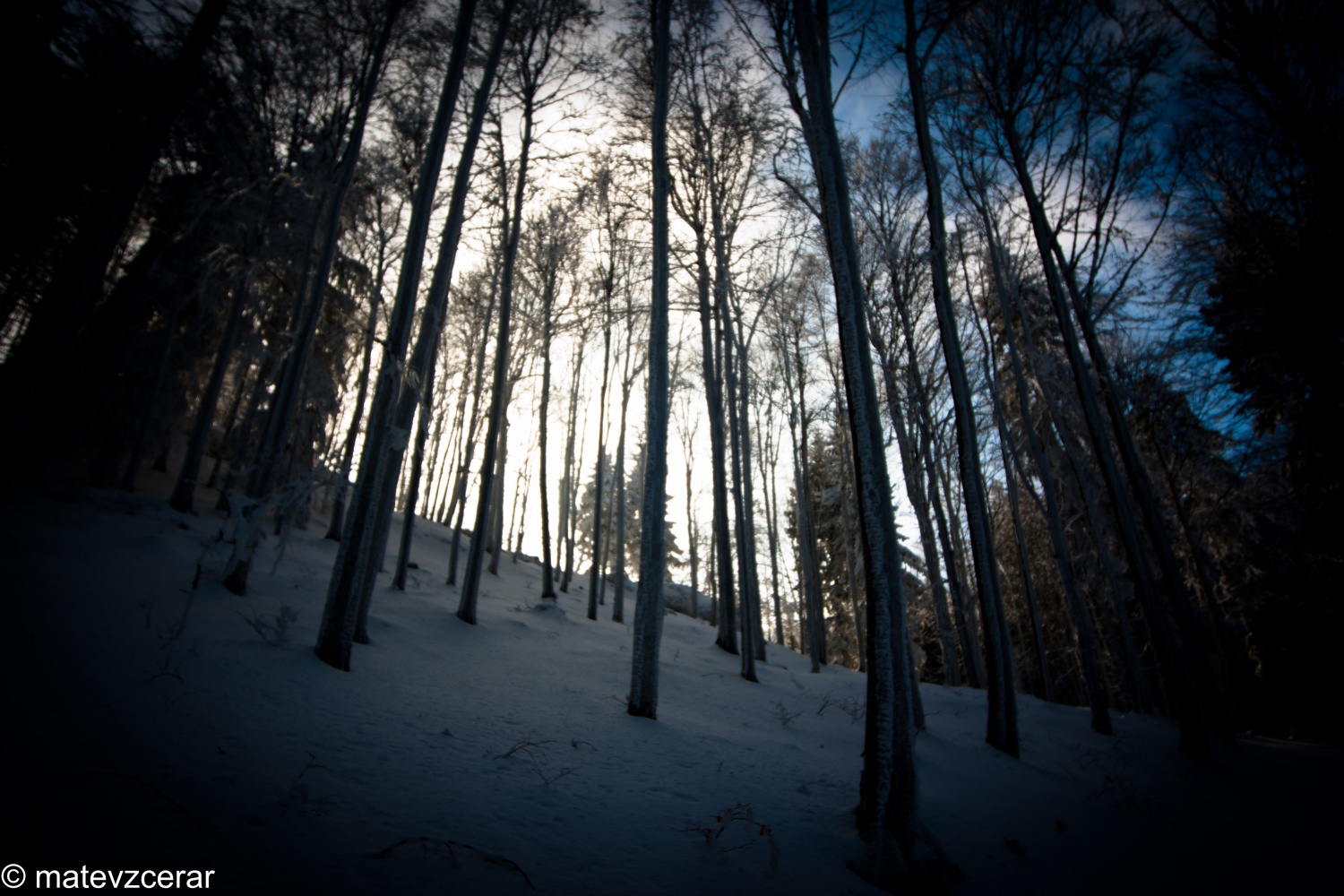 Voditelji ljubljanske regije smo se v preteklem vikendu zbrali na duhovnih vajah v Kočevskem rogu. Duhovni asistent Urban Lesjak je z zgodbami, nagovori, razlagami, izzivi in igrami vodil 15 skavtov prek pusta do posta.