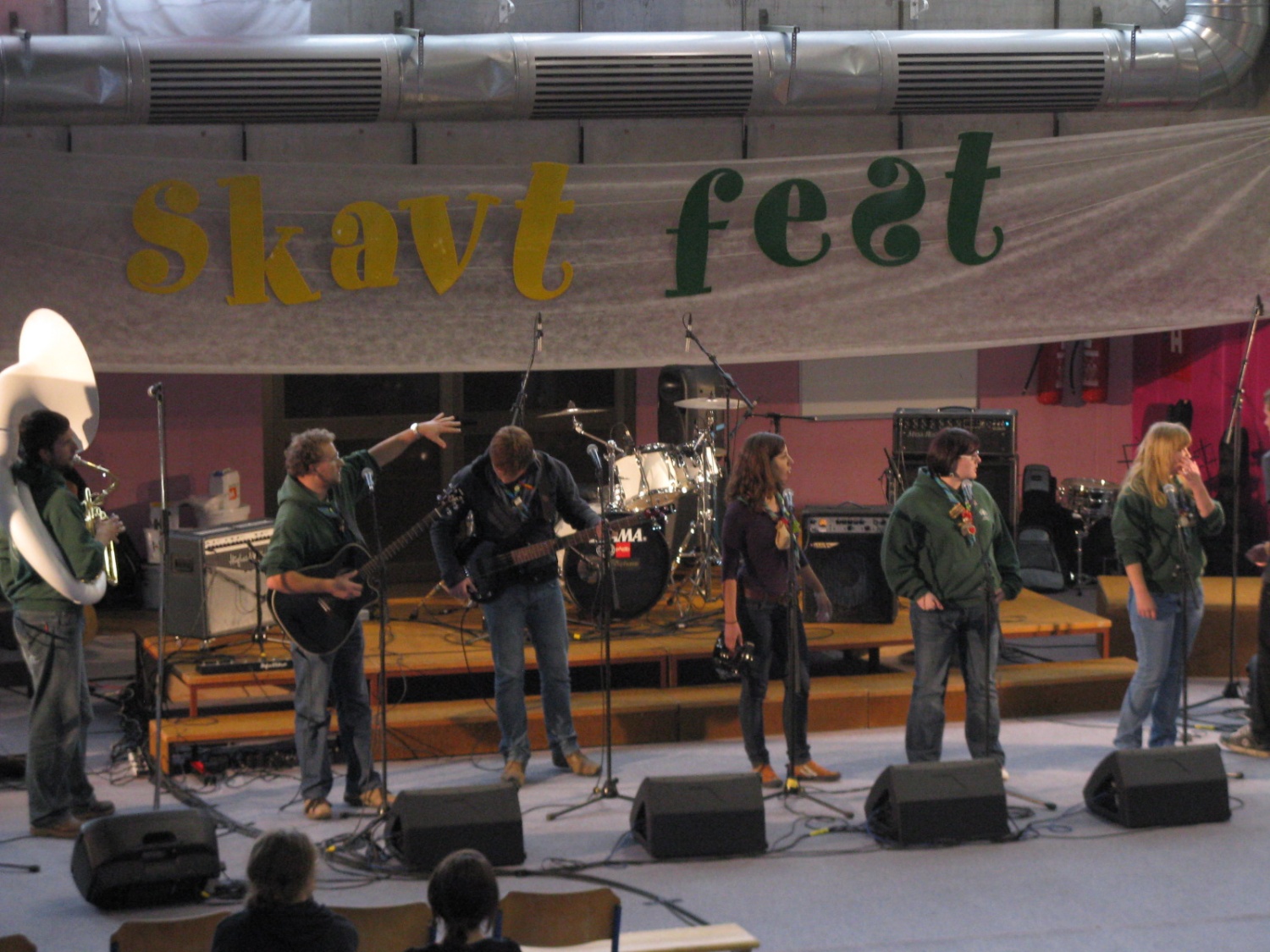 skavtfest 2010