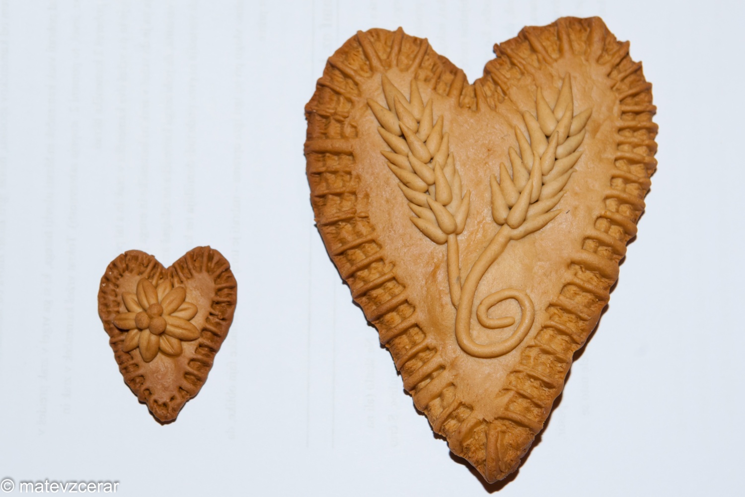 8. januarja je na Prežganju potekal Zagrizi - srečanje ljubljanske regije.
Na srečanju smo se voditelji spomnili na slovensko besedo in običaje.
Dopoldne smo se na delavnicah učili različnih spretnosti (dražgoški kruhki, pritrkavanje, družabne igre, ognji).
Sledilo je kosilo - čisto ta pravi golaž.
Po kosilu smo spoznavali različna narečja in jih predstavili s pesmijo in narečnimi besedami.
Zaključili pa smo z nekaj družabnimi kmečkimi igrami.
Lep dan je bil.