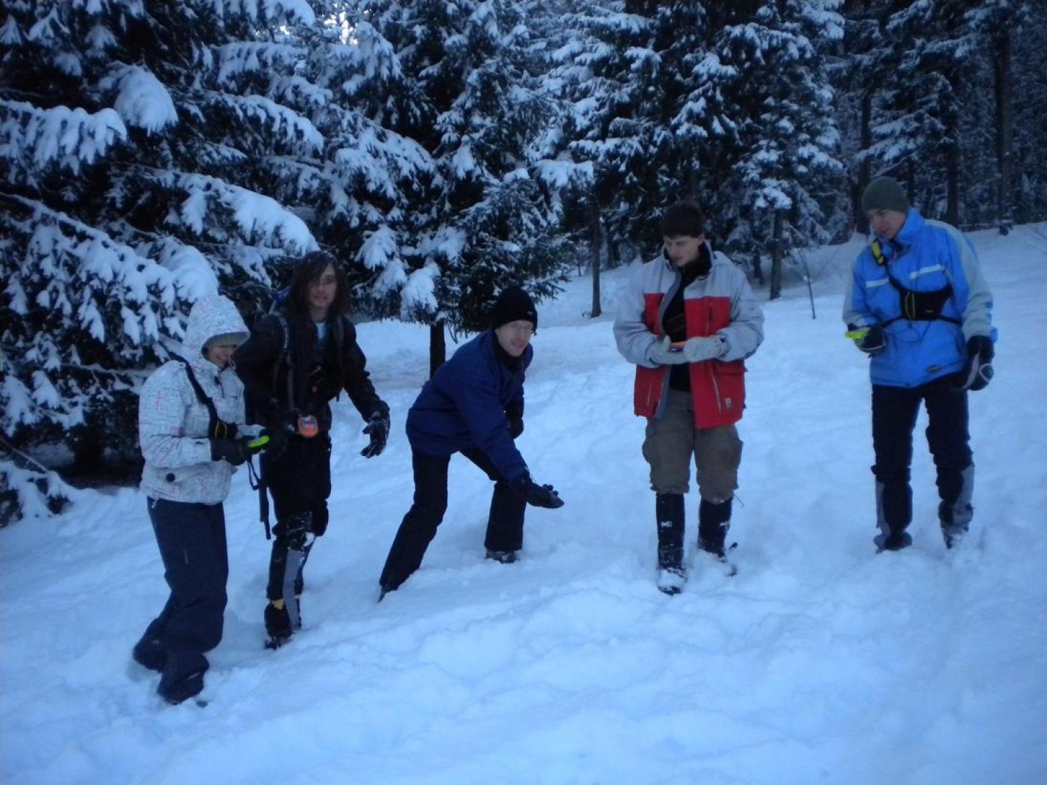 Določevanje lege zasutega v plazu s plazovno žolno