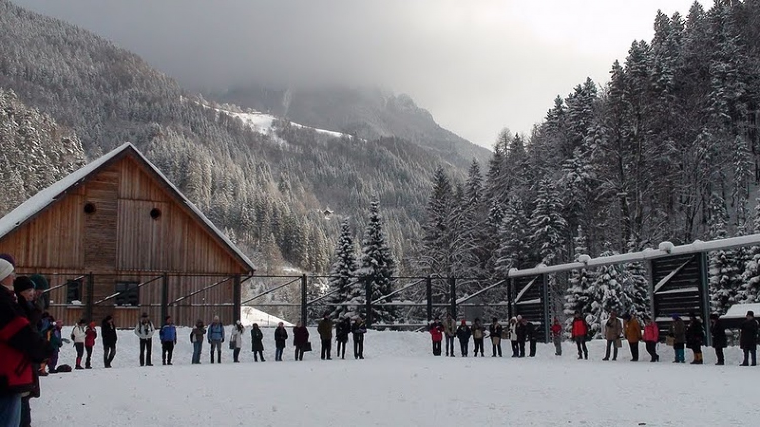 V soboto 18. decembra so si odrasli skavti Slovenije, Avstrije, Italije in Hrvaške v Solčavi izmenjali Luč miru iz Betlehema. To je bila osma izmenjava Luči miru med odraslimi skavti, ki se povezujejo v gibanju Alpe – Jadran. Srečanje v Solčavi je bilo tretje, ki so ga organizirali slovenski odrasli skavti. Udeležilo se ga je 133 skavtinj in skavtov.