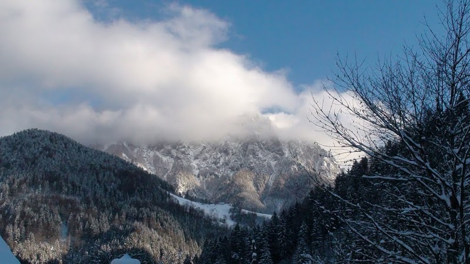 V soboto 18. decembra so si odrasli skavti Slovenije, Avstrije, Italije in Hrvaške v Solčavi izmenjali Luč miru iz Betlehema. To je bila osma izmenjava Luči miru med odraslimi skavti, ki se povezujejo v gibanju Alpe – Jadran. Srečanje v Solčavi je bilo tretje, ki so ga organizirali slovenski odrasli skavti. Udeležilo se ga je 133 skavtinj in skavtov.