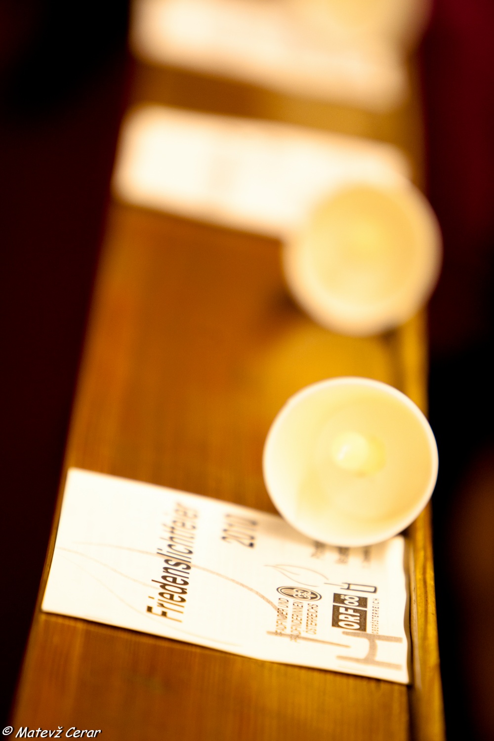 Sprejem LMB na Dunaju