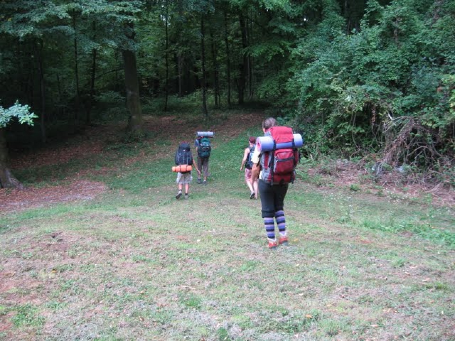 Spomini na tabor:

veslanje, komarji, stara gospa na vlaku, senik, špageti, skale v Kolpi in brzice, komuna, »duhovna misel«, kaplan, skavti na poti, lepa pokrajina in tuš v domači banji!

 

3. - 8. avgust 2009