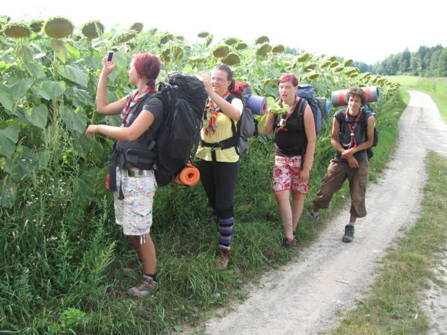 Spomini na tabor:

veslanje, komarji, stara gospa na vlaku, senik, špageti, skale v Kolpi in brzice, komuna, »duhovna misel«, kaplan, skavti na poti, lepa pokrajina in tuš v domači banji!

 

3. - 8. avgust 2009