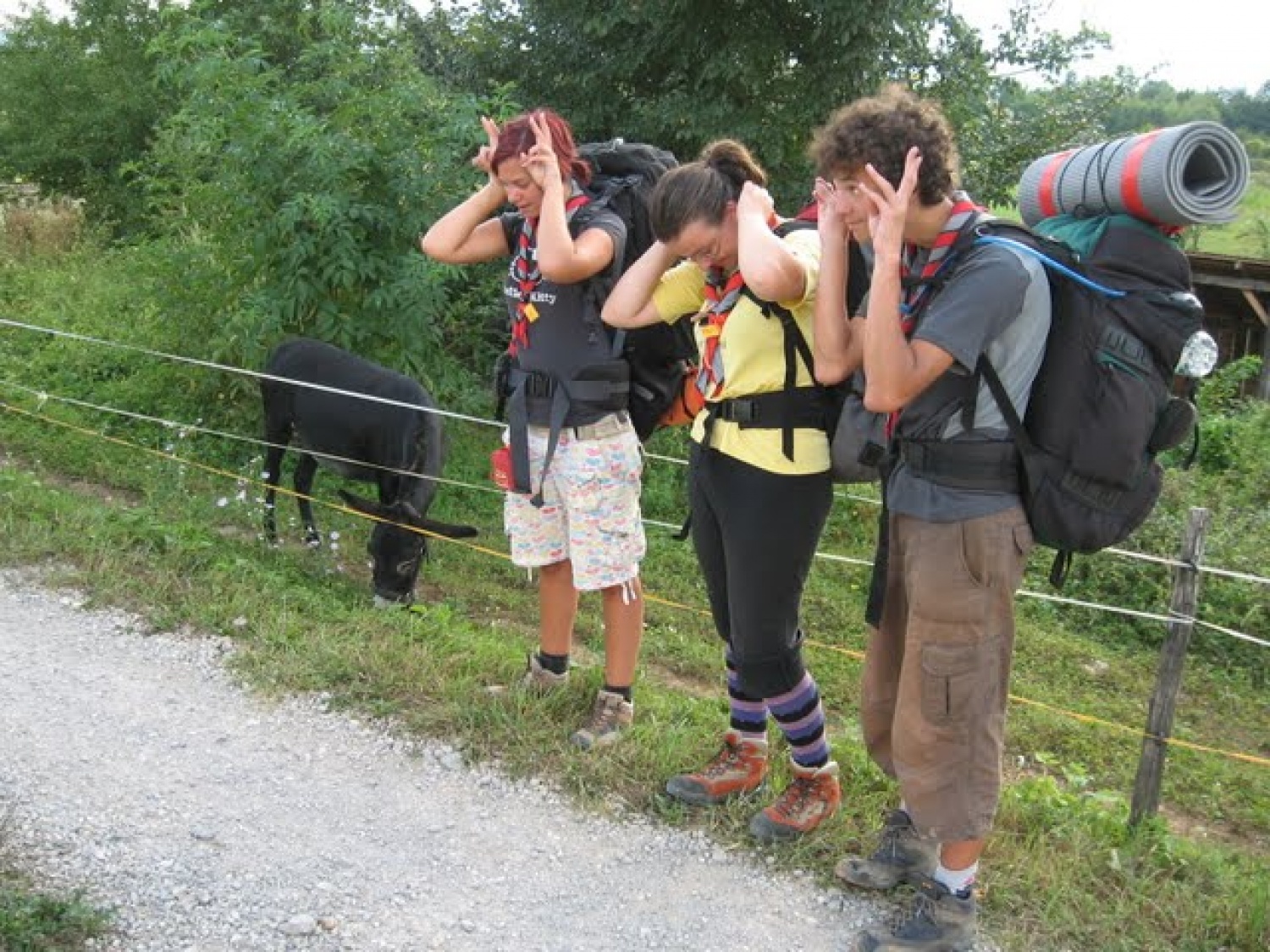 le kje je kakšen osel